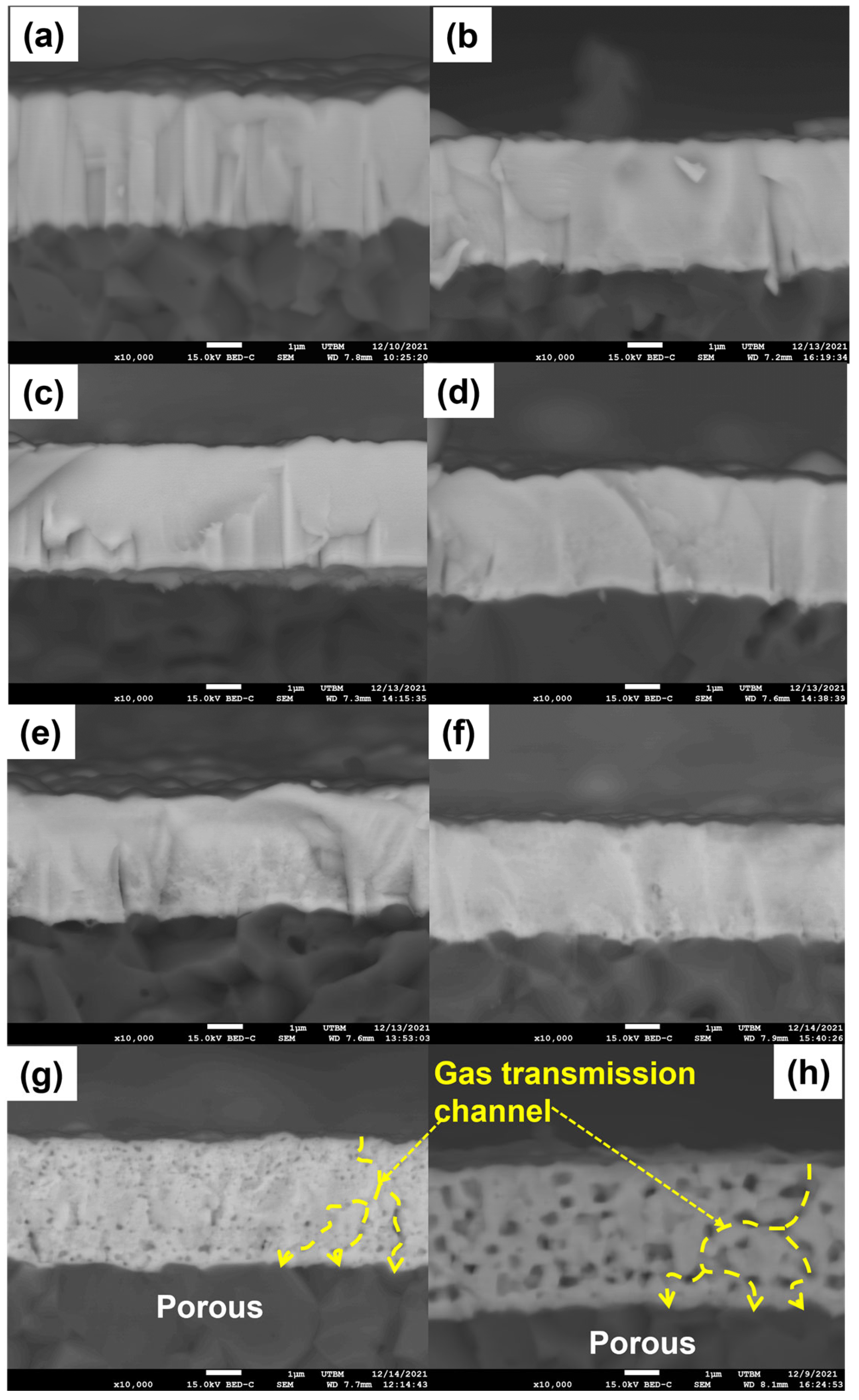 Coatings 13 01113 g005