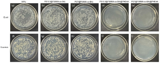 Coatings 13 01114 g007 550
