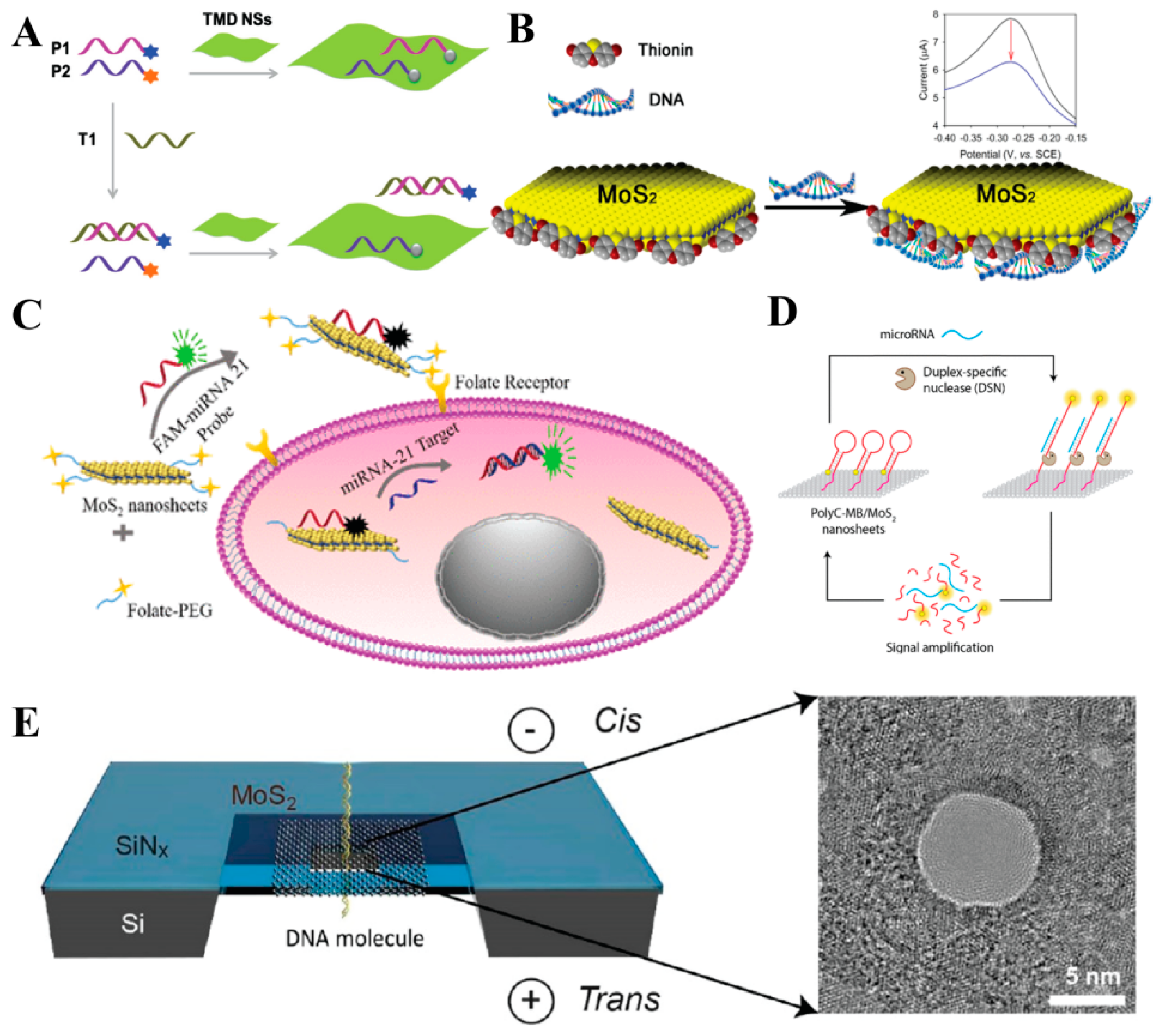 Coatings 13 01122 g008
