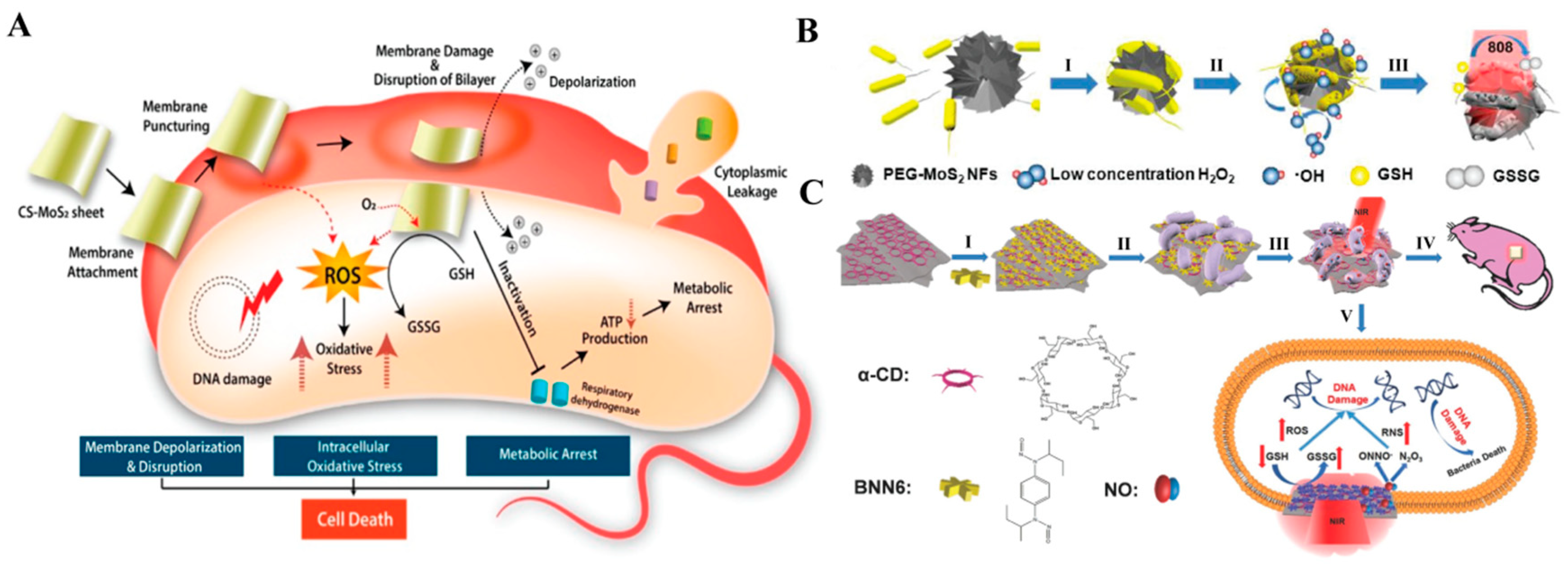 Coatings 13 01122 g009