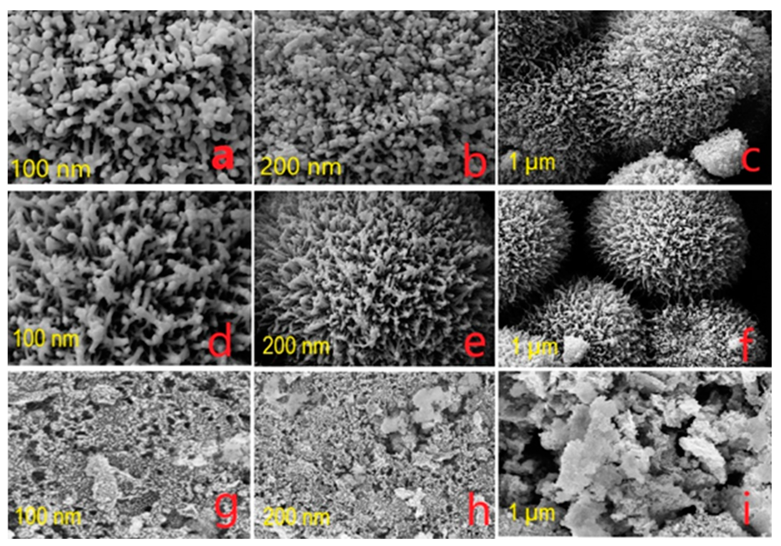 Coatings 13 01124 g002 Coatings 13 01124 g002