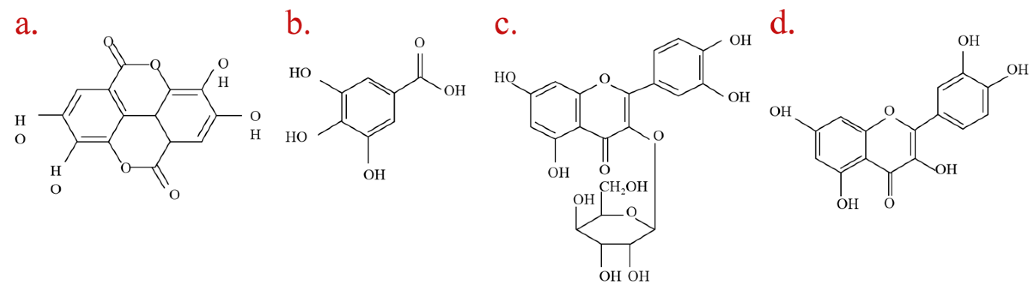 Coatings 13 01125 g001