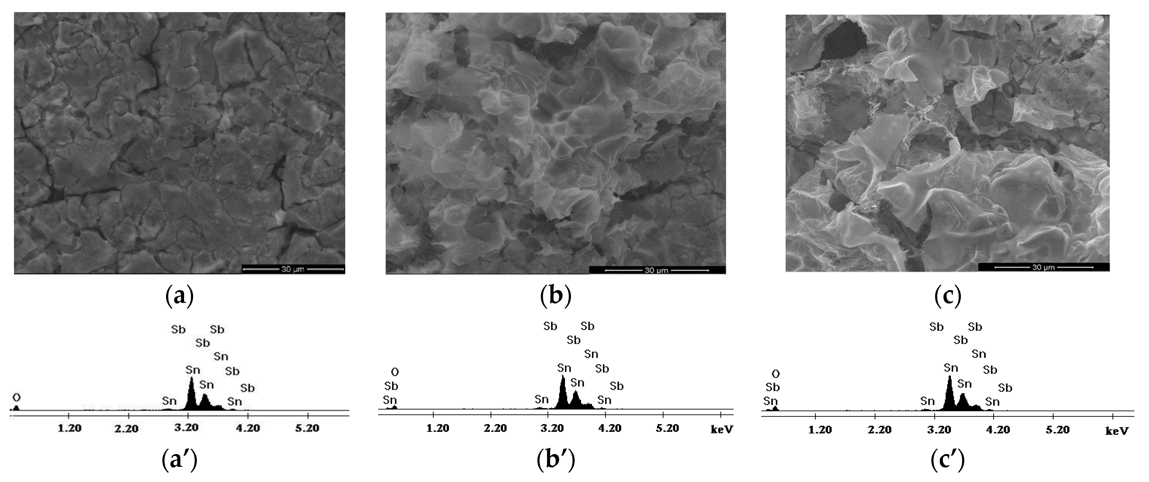 Coatings 13 01127 g003