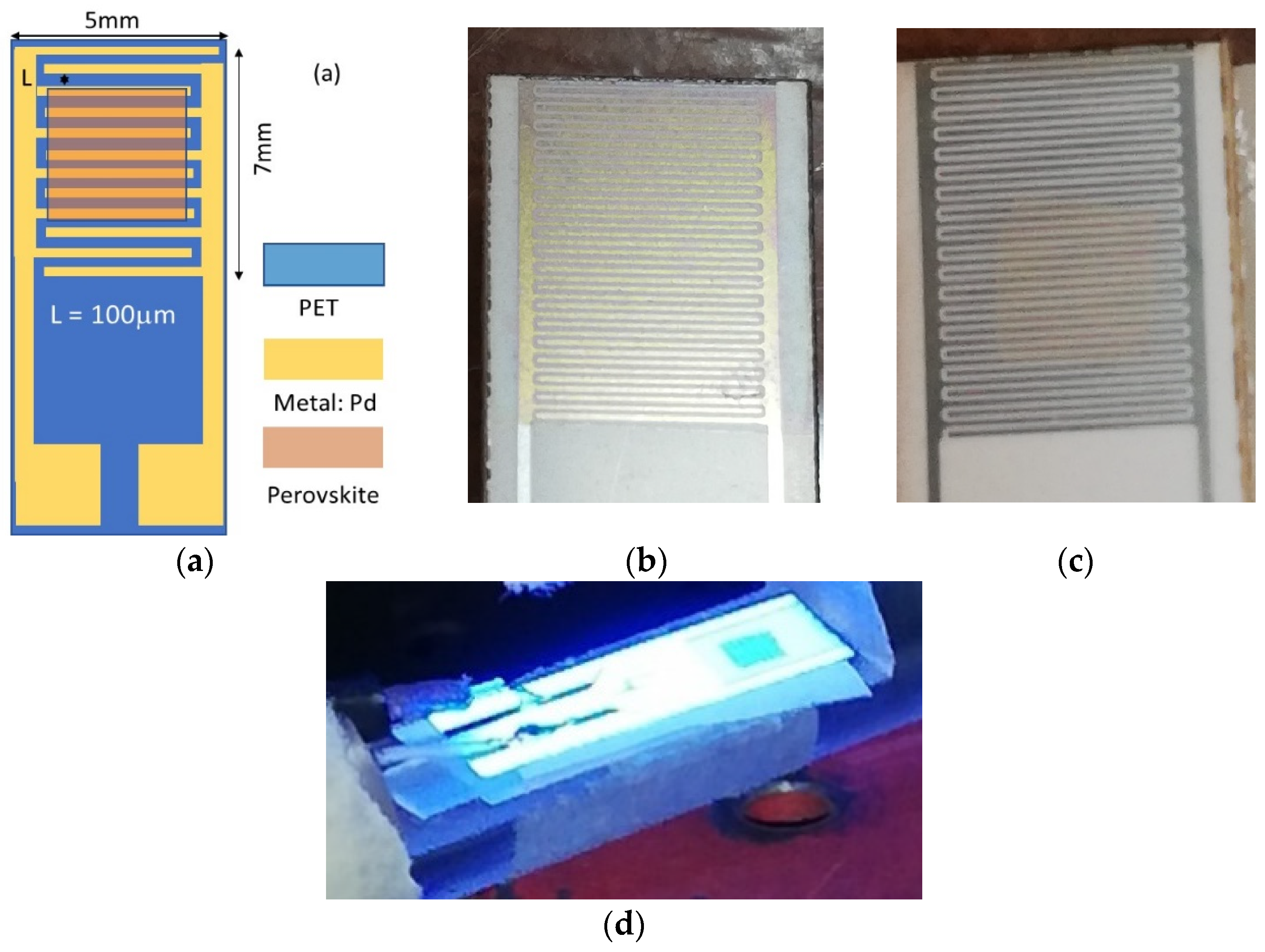 Coatings 13 01128 g001