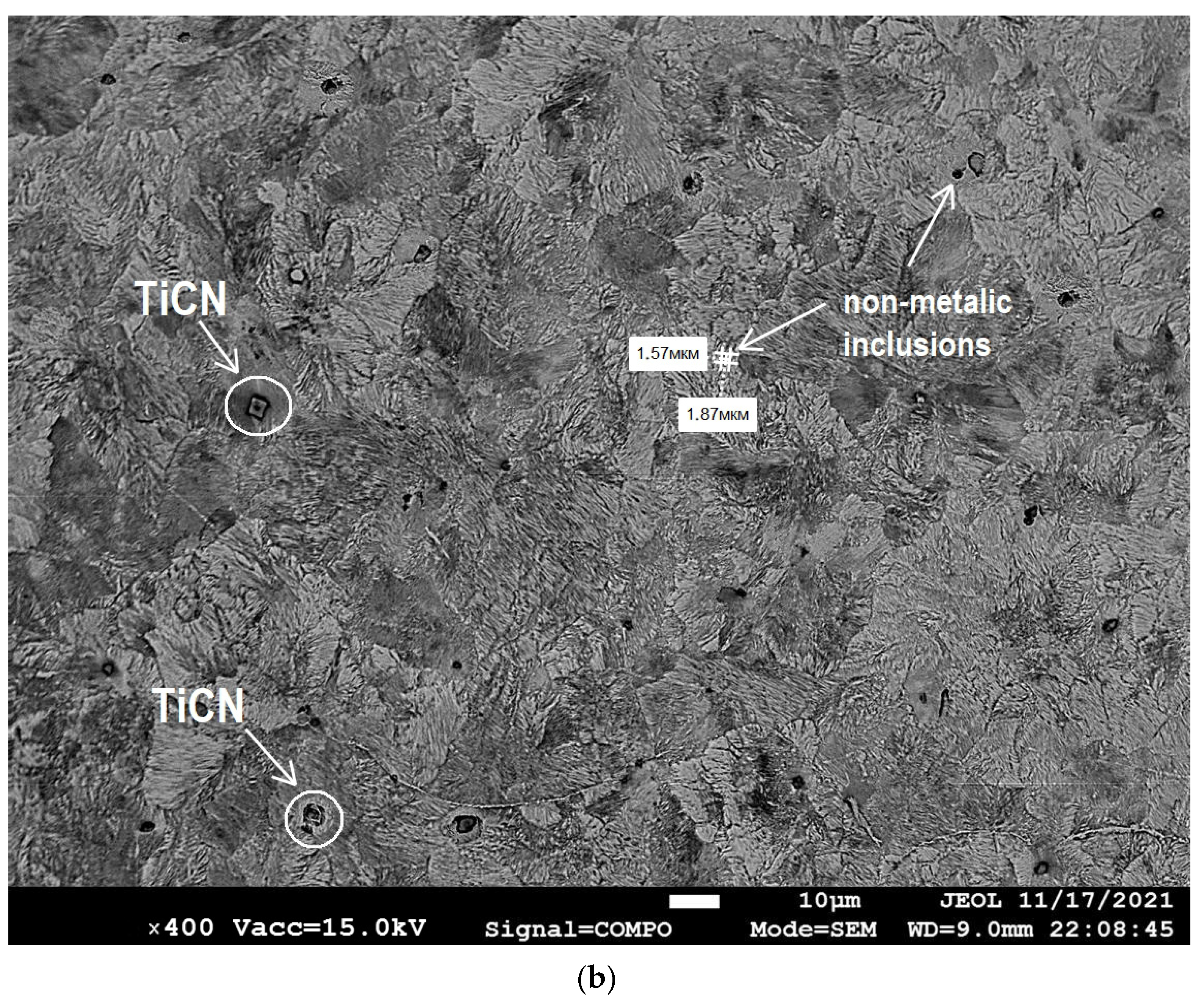 Coatings 13 01135 g003b