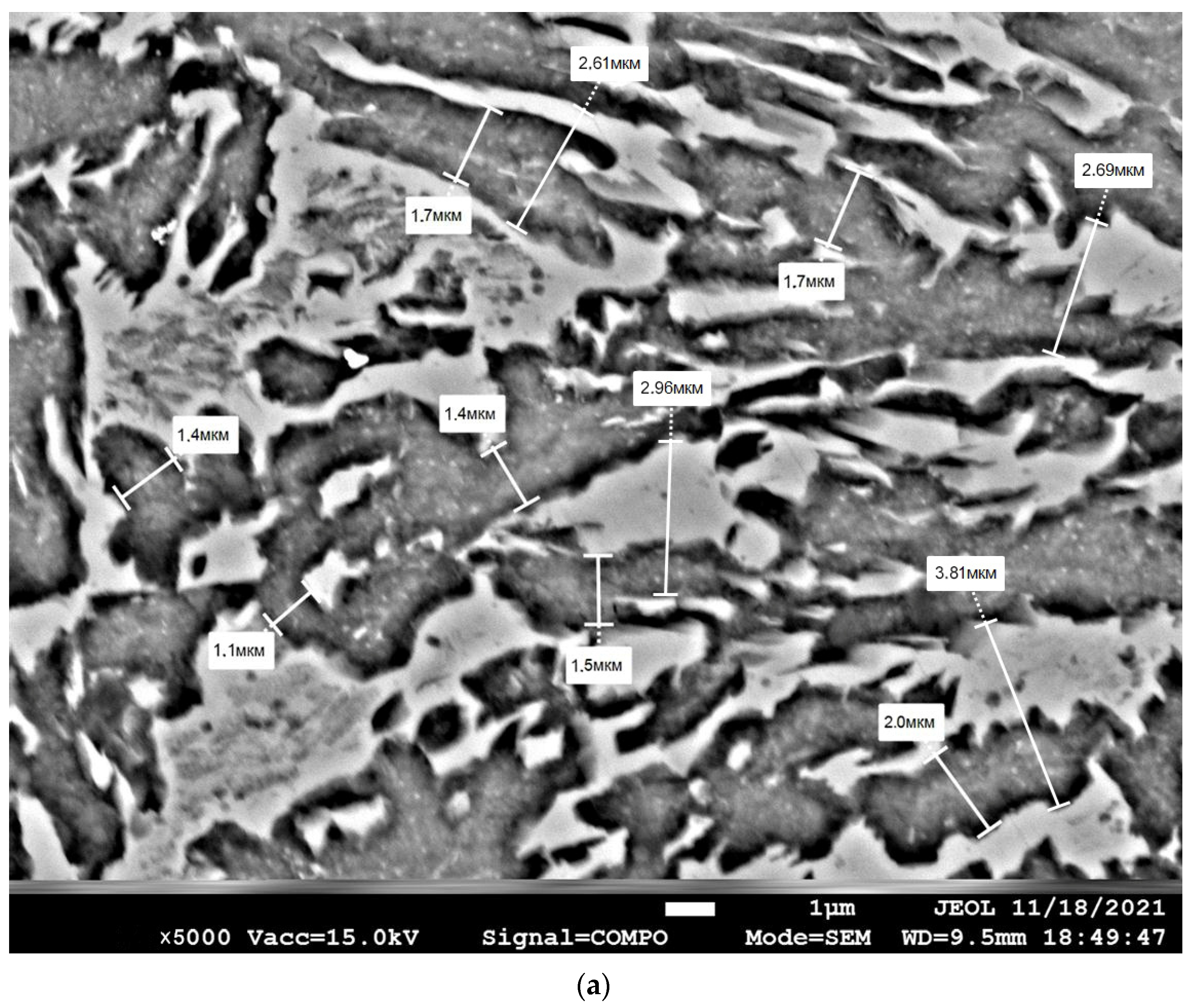 Coatings 13 01135 g004a