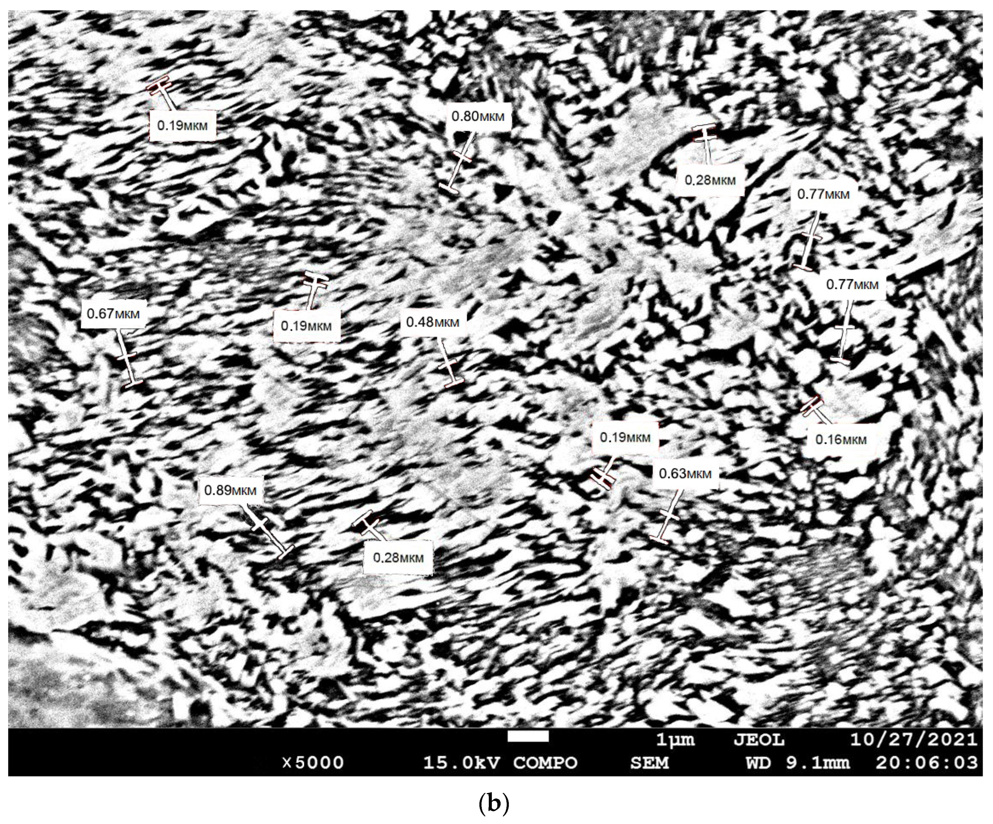 Coatings 13 01135 g004b