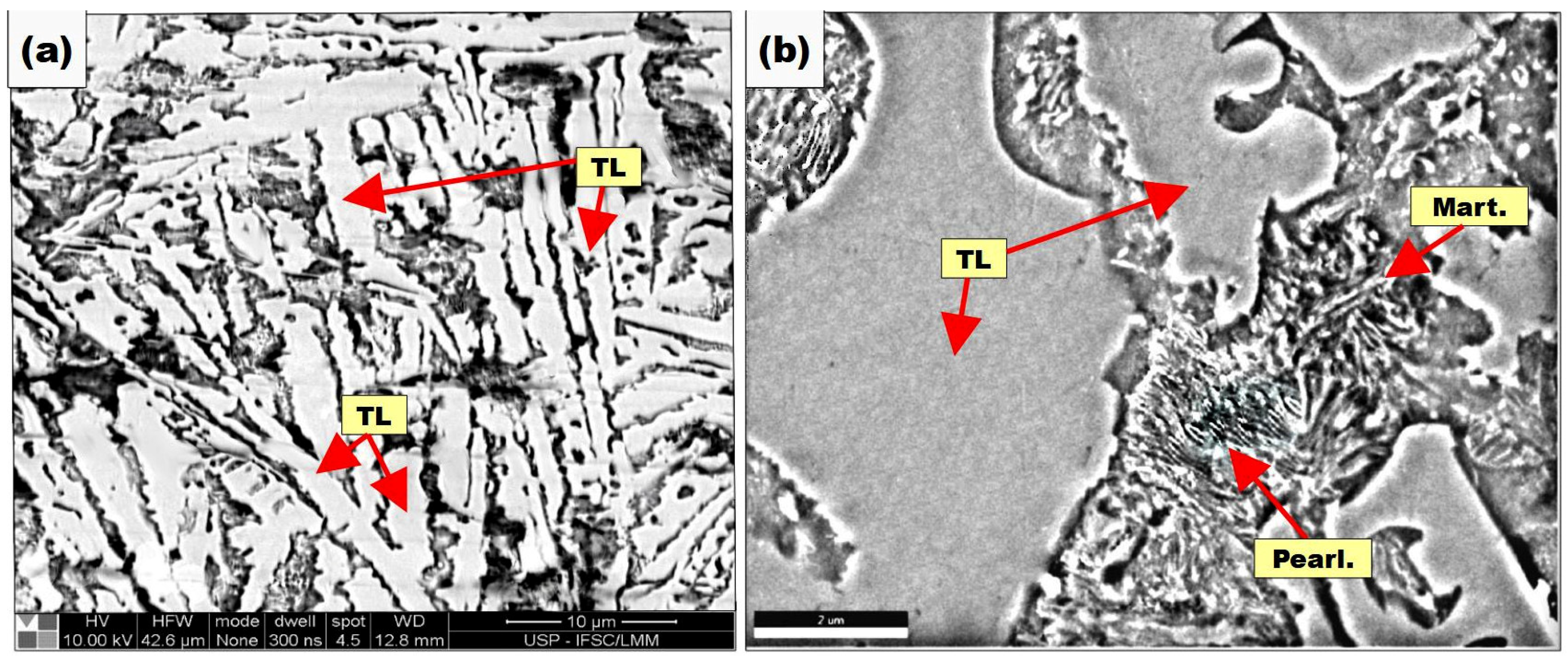 Coatings 13 01137 g011 Coatings 13 01137 g011