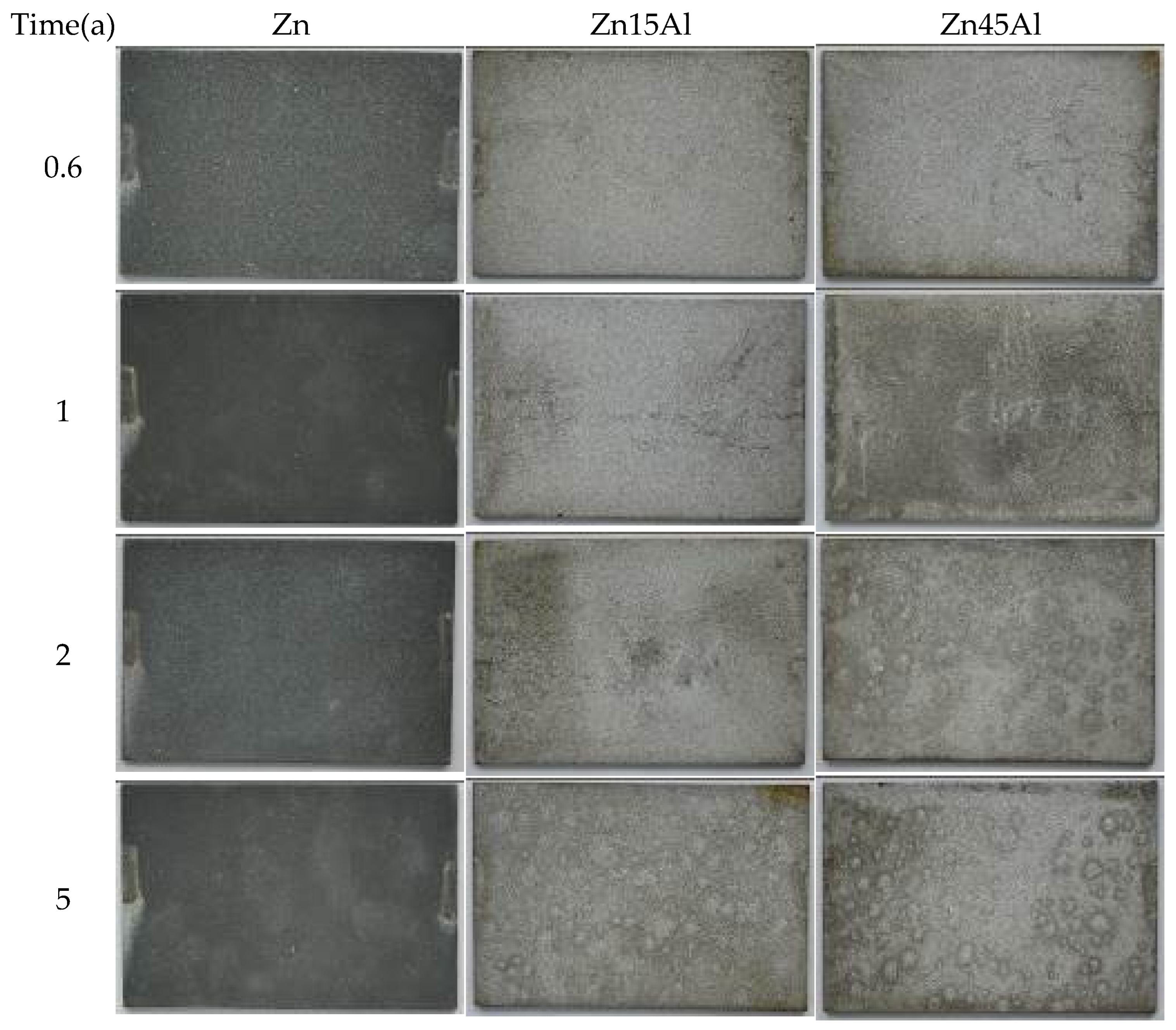Coatings Free FullText Degradation Behavior of ArcSprayed Zinc