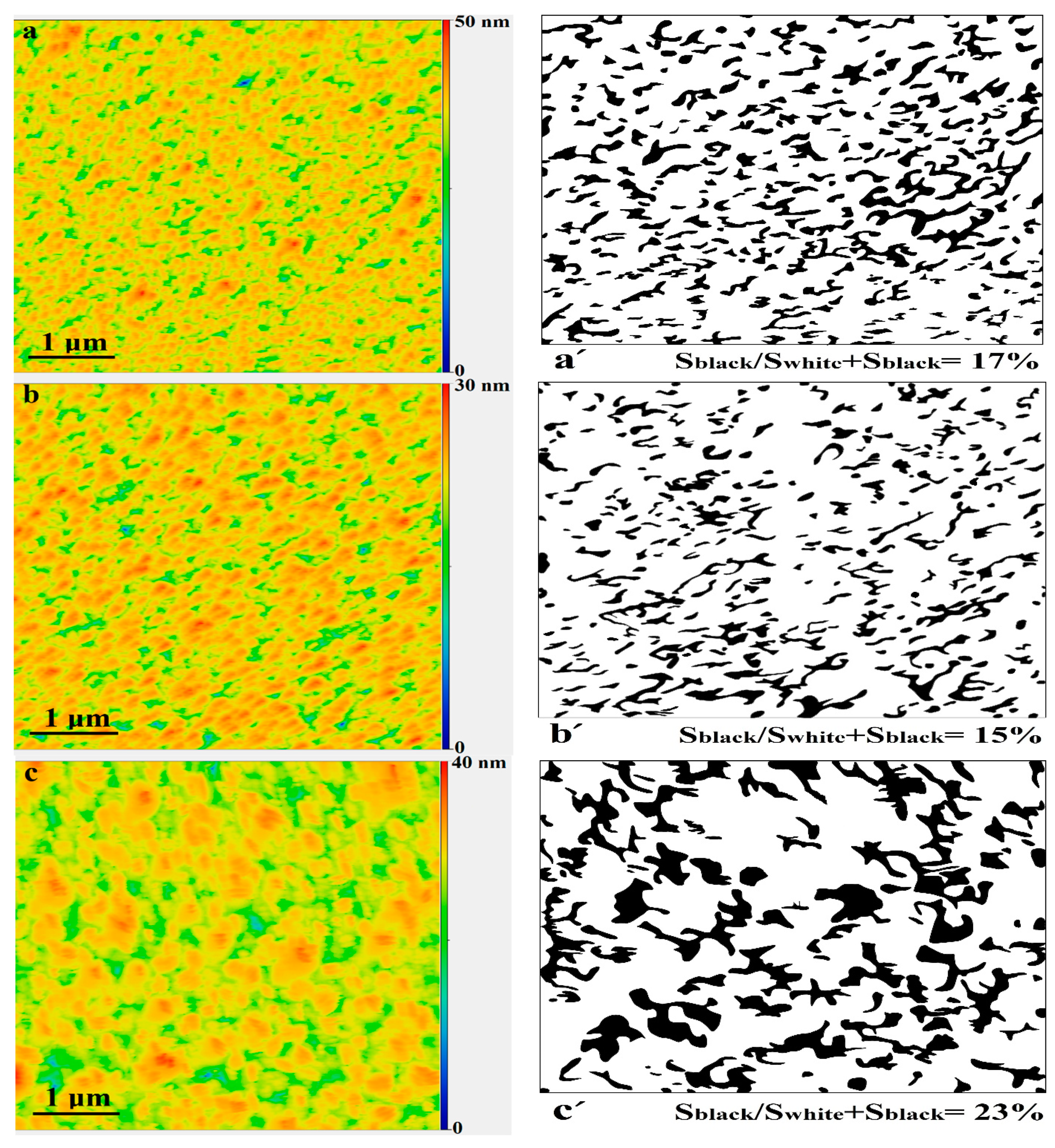 Coatings 13 01141 g005
