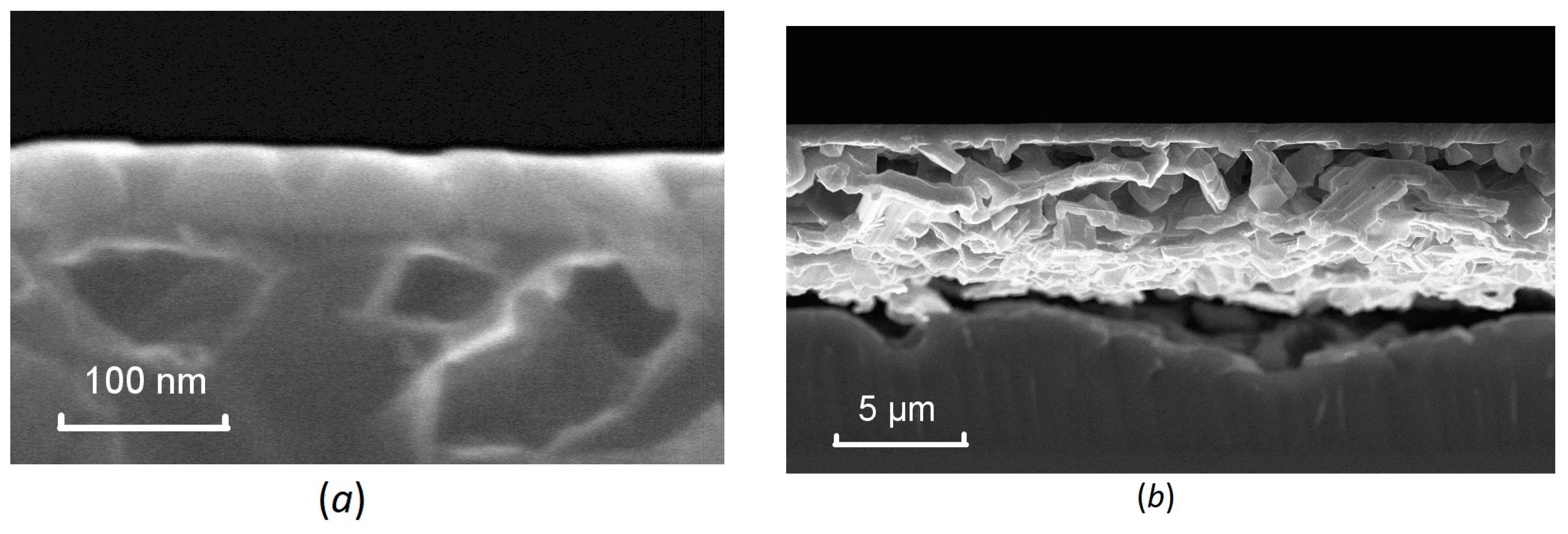Coatings 13 01142 g005