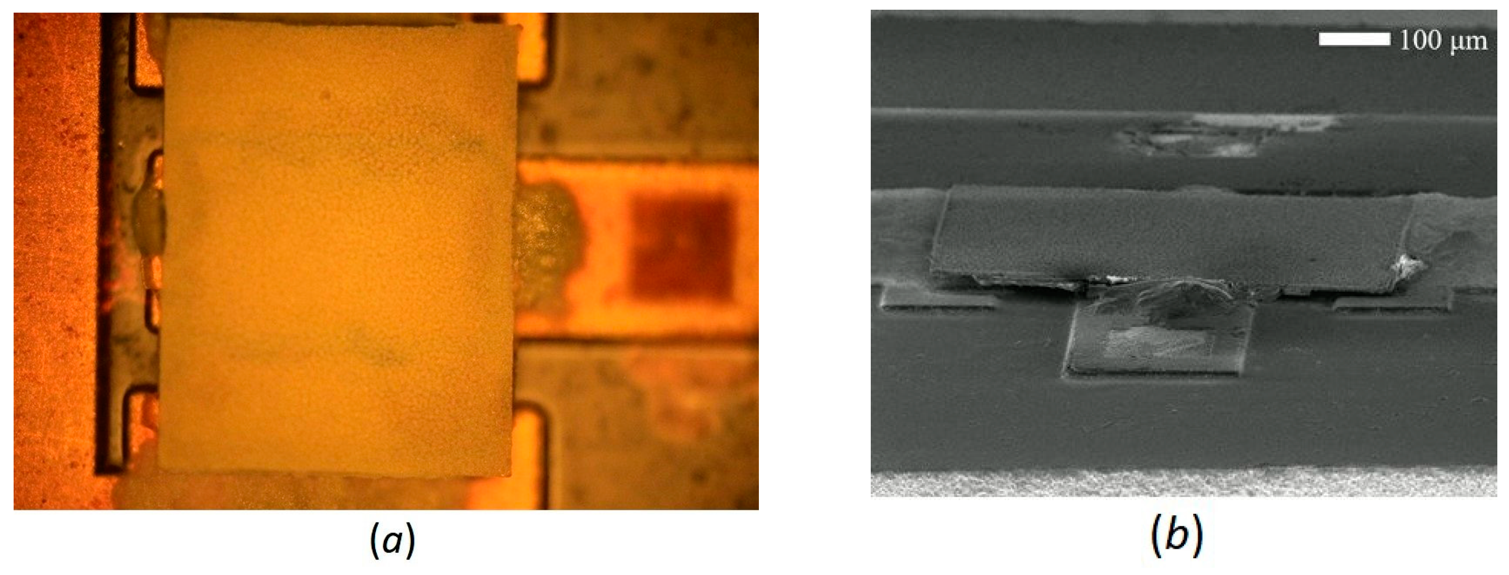 Coatings 13 01142 g010