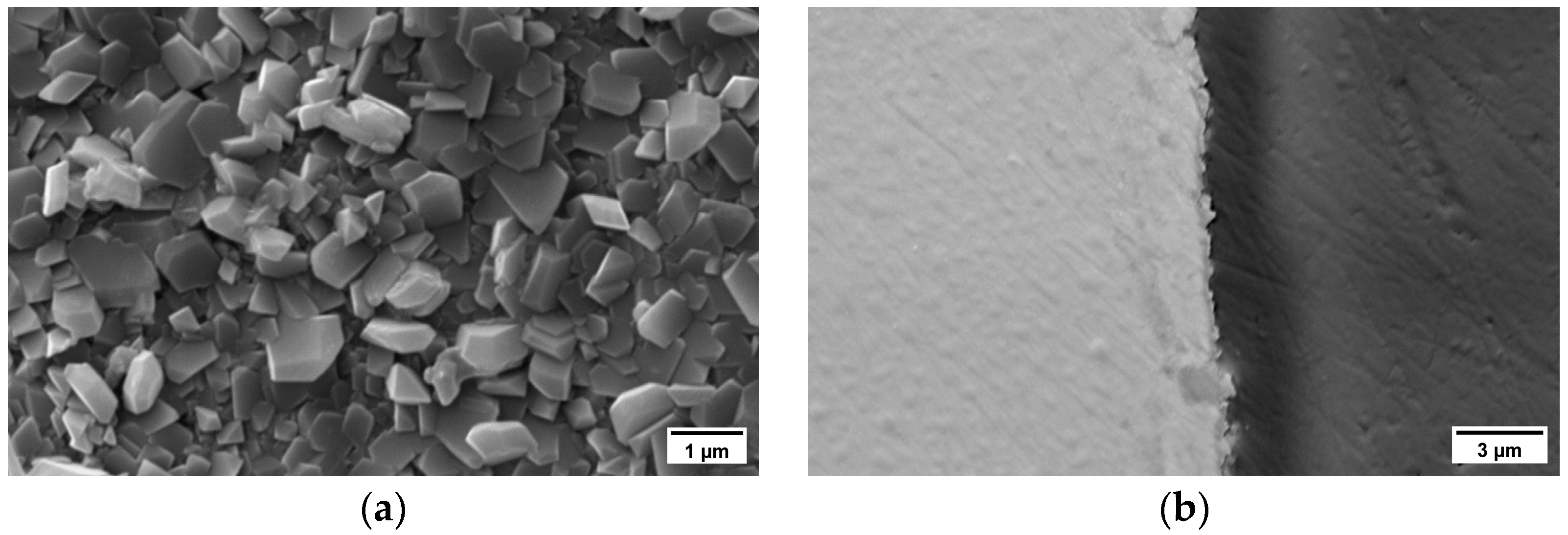 Coatings 13 01144 g002 Coatings 13 01144 g002