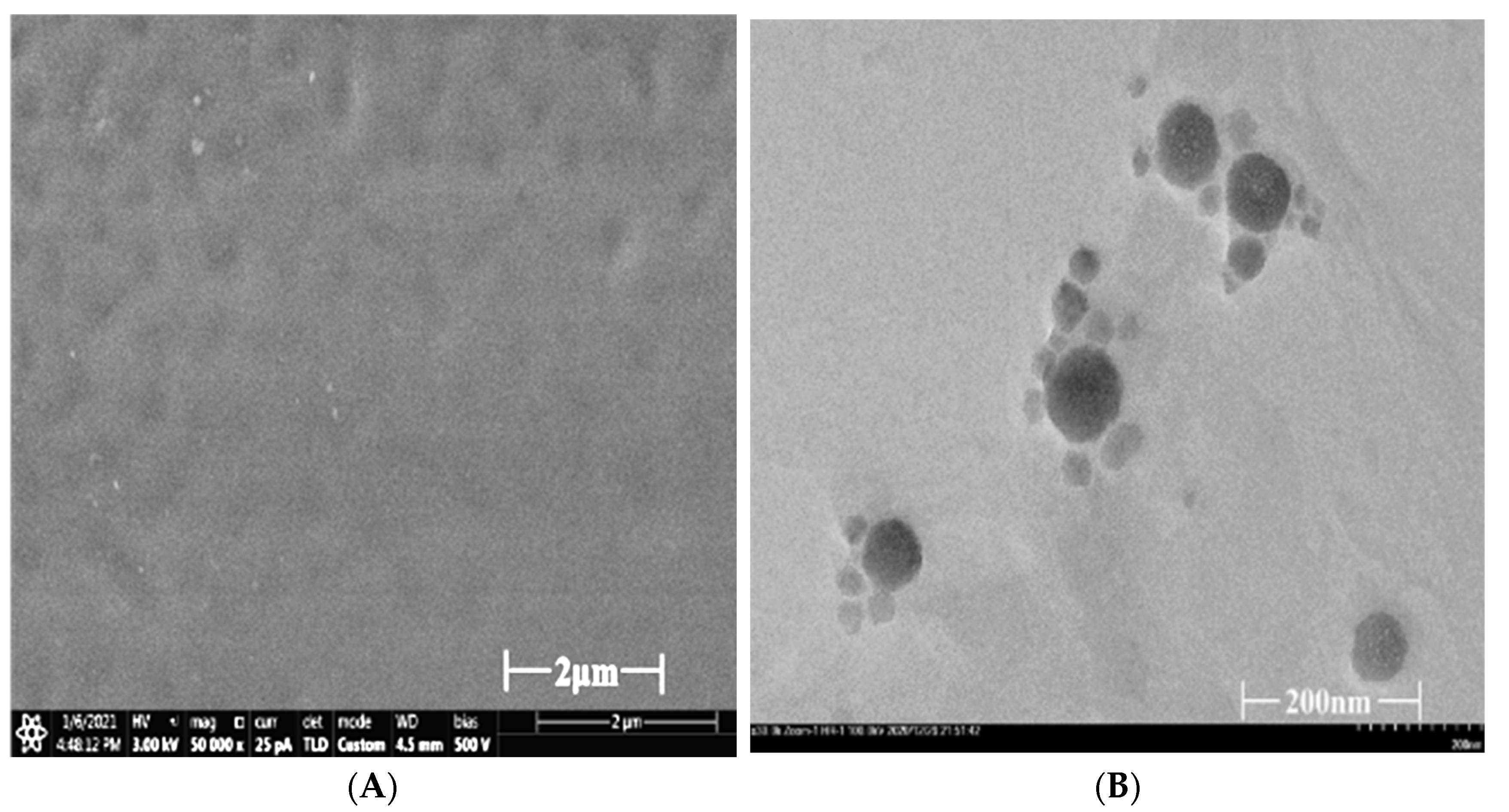 Coatings 13 01145 g003 Coatings 13 01145 g003