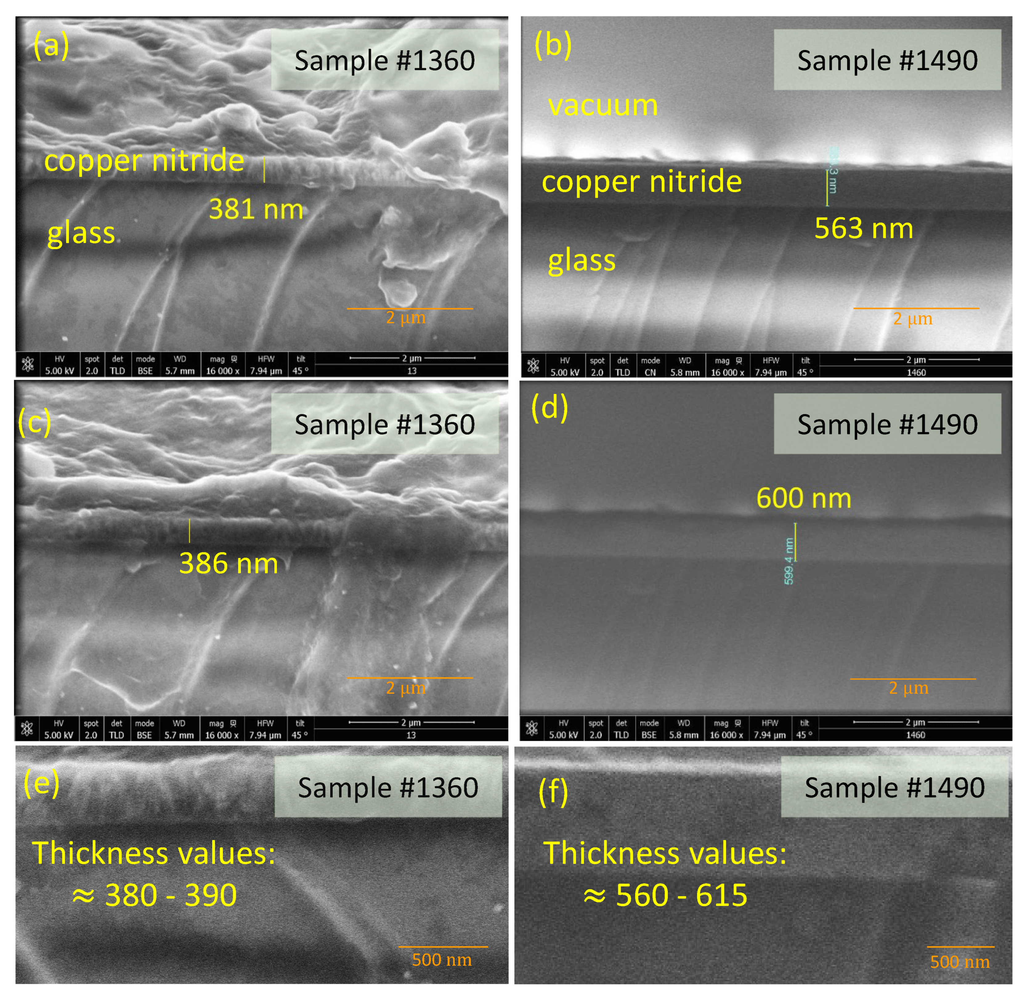 Coatings 13 01148 g003 550