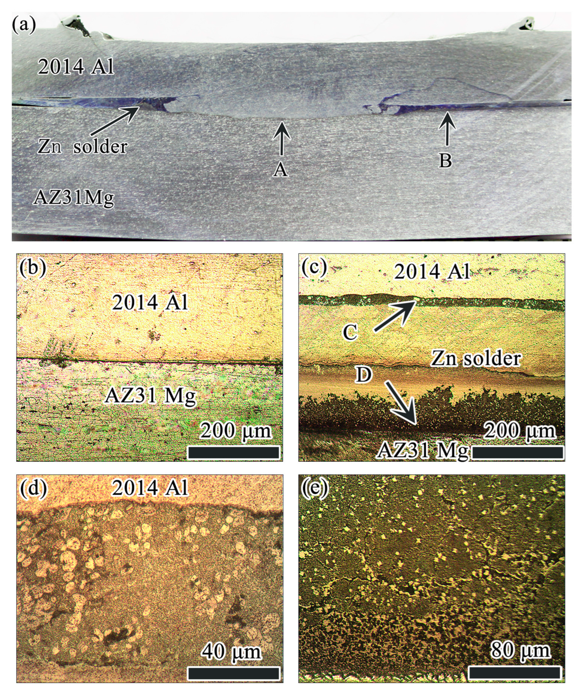 Coatings 13 01149 g002