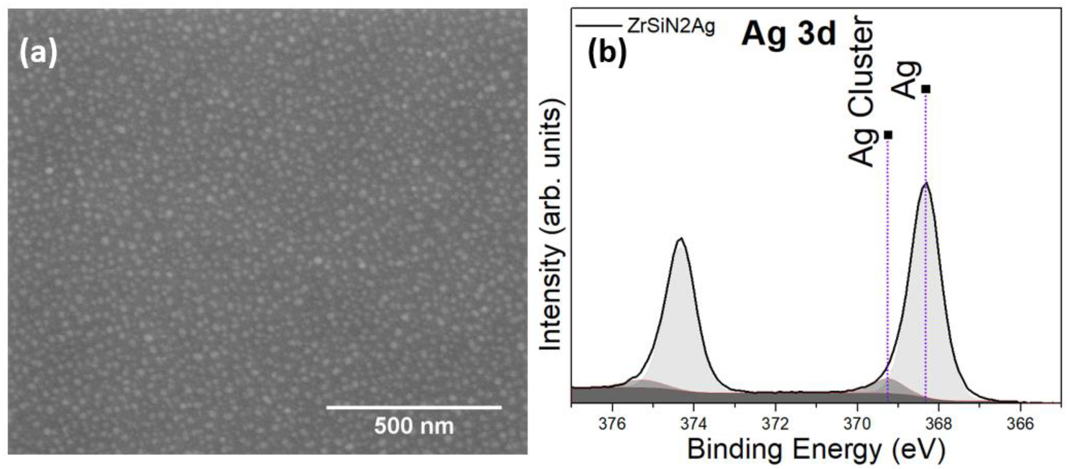 Coatings 13 01154 g003