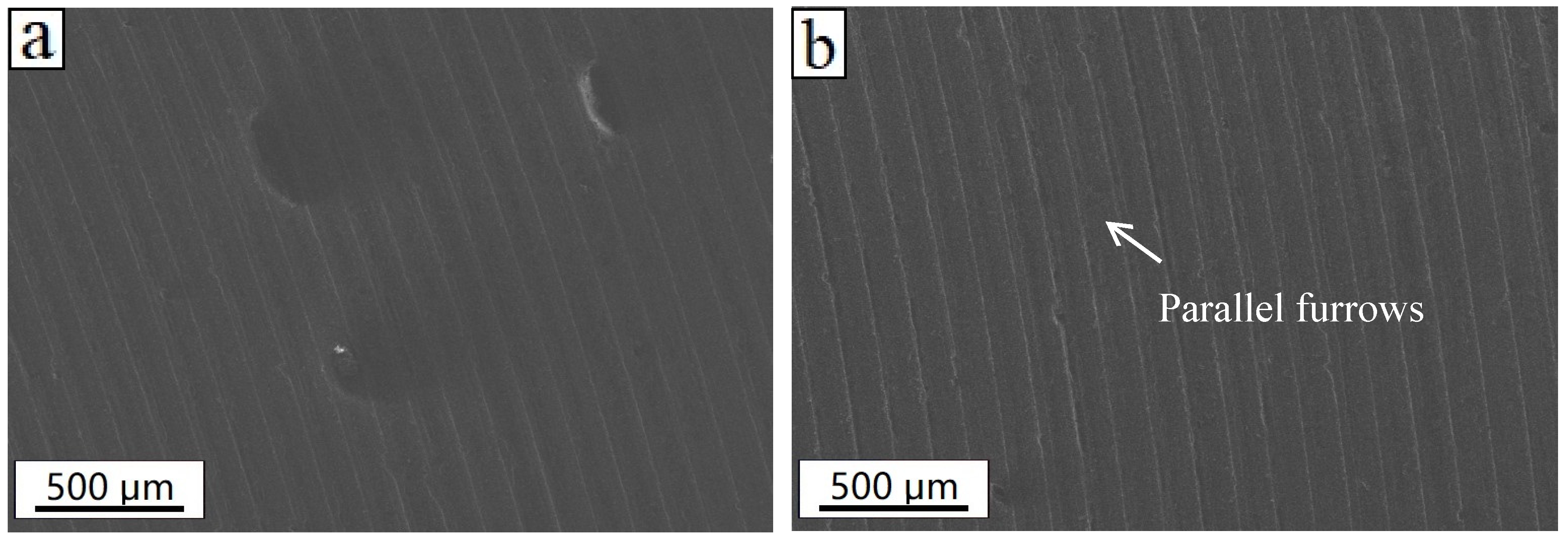 Coatings 13 01155 g012a