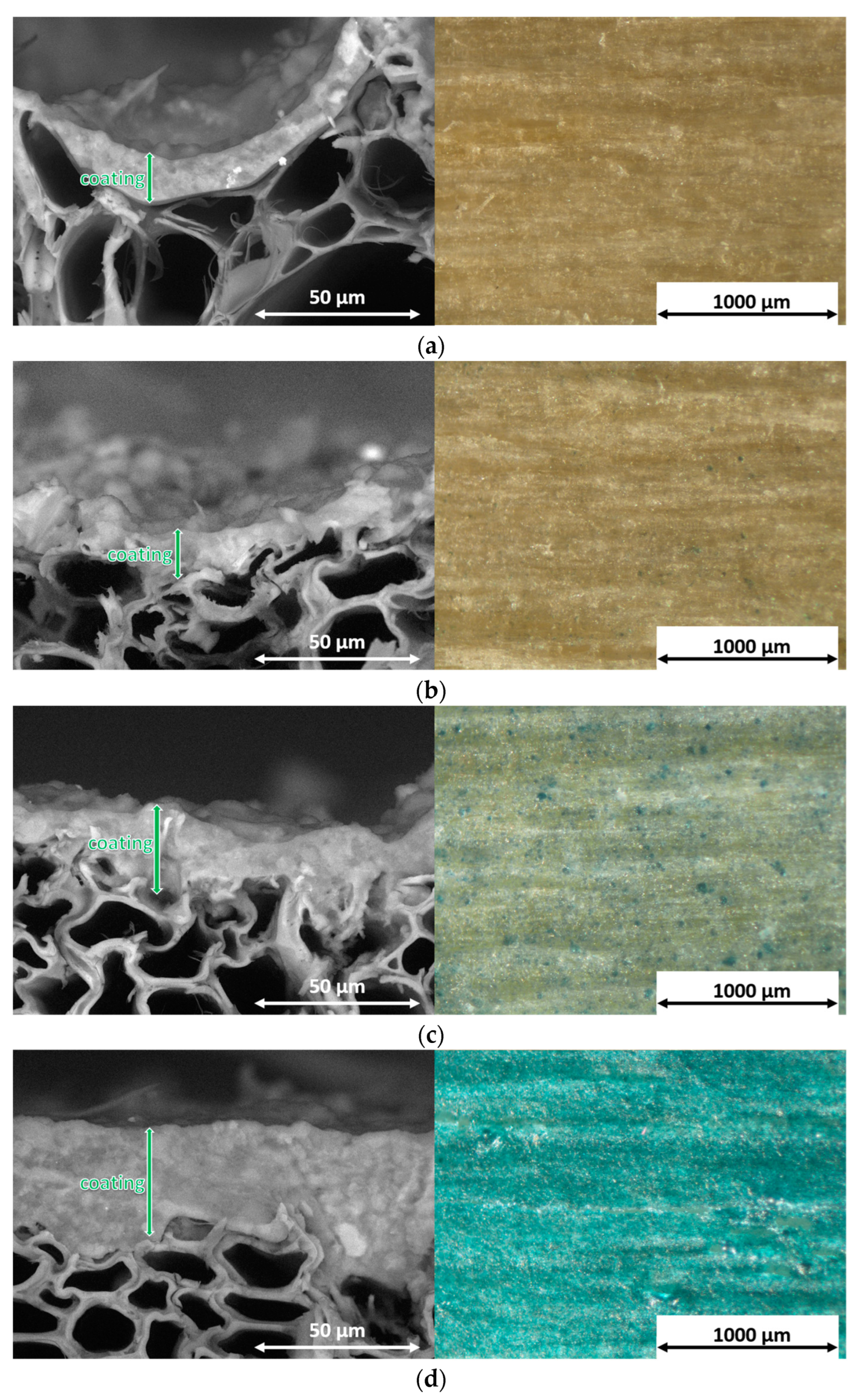 Coatings 13 01158 g002 Coatings 13 01158 g002