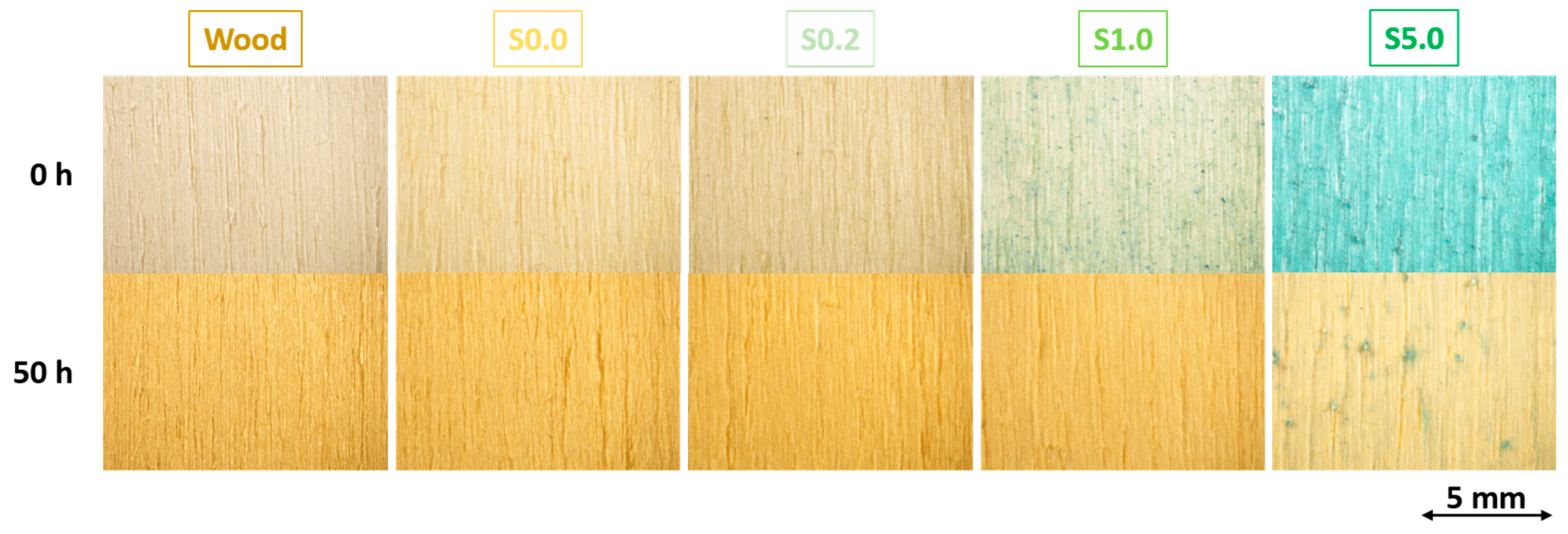 Coatings 13 01158 g005 Coatings 13 01158 g005