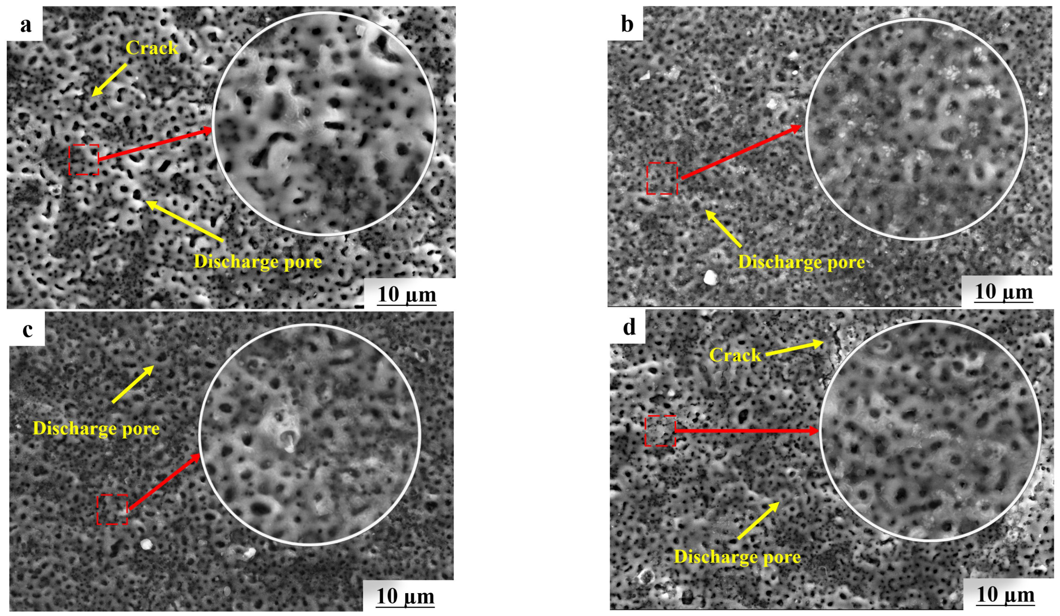Coatings 13 01161 g002