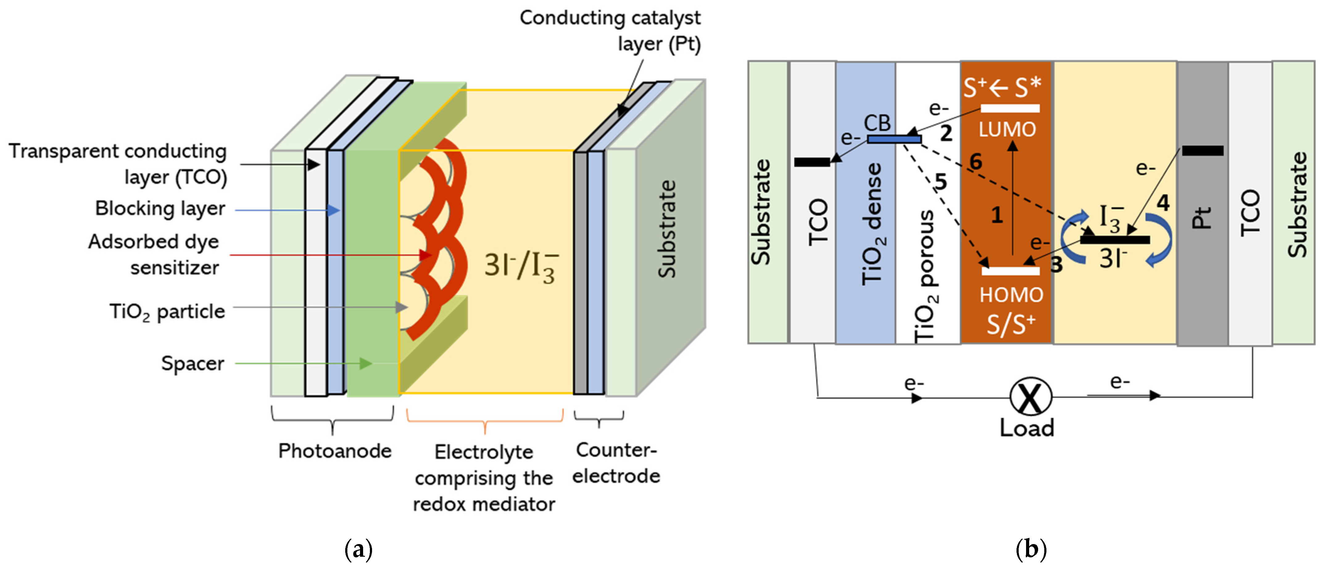 Coatings 13 01164 g002