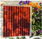 Coatings 13 01164 i003