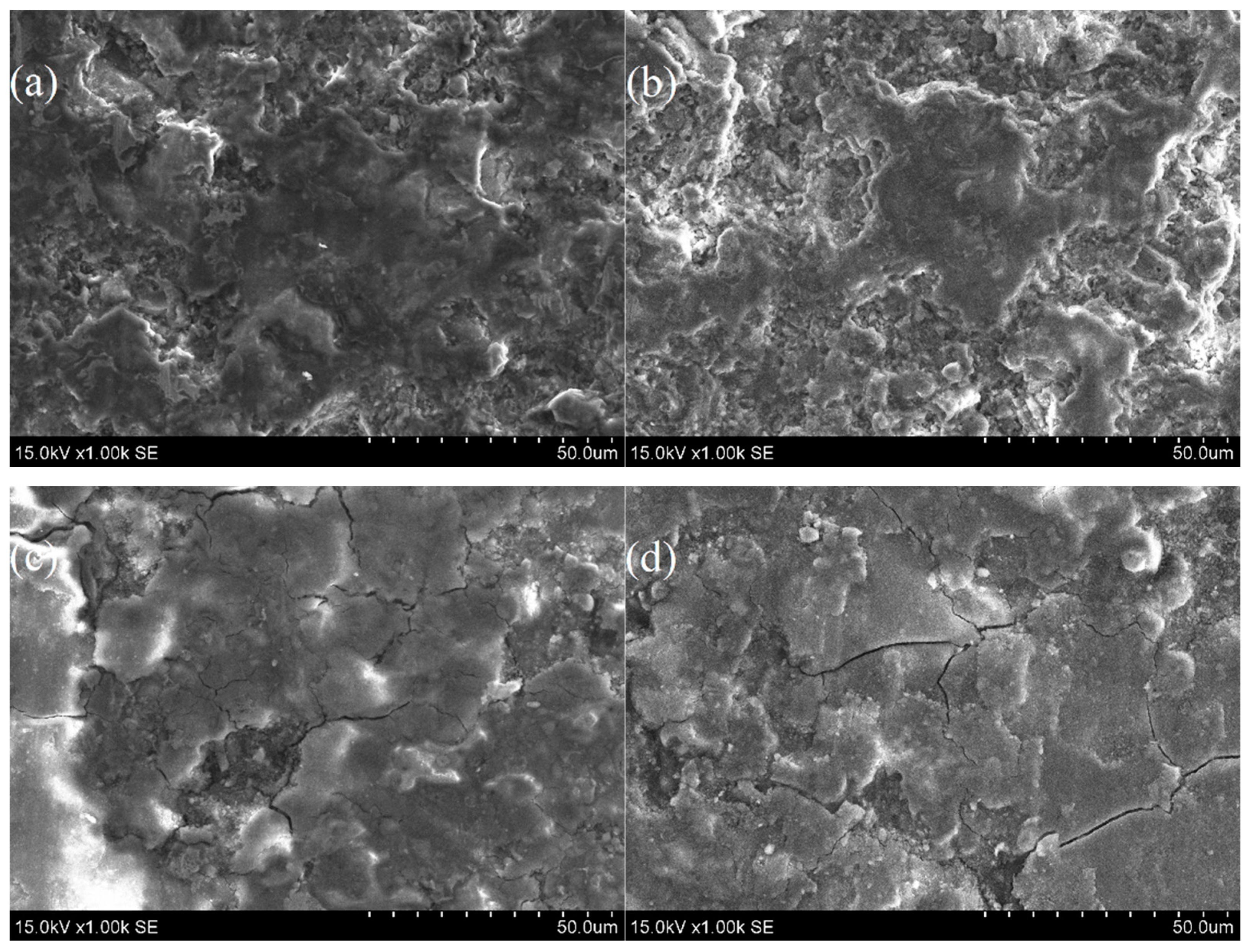 Coatings 13 01165 g009 Coatings 13 01165 g009