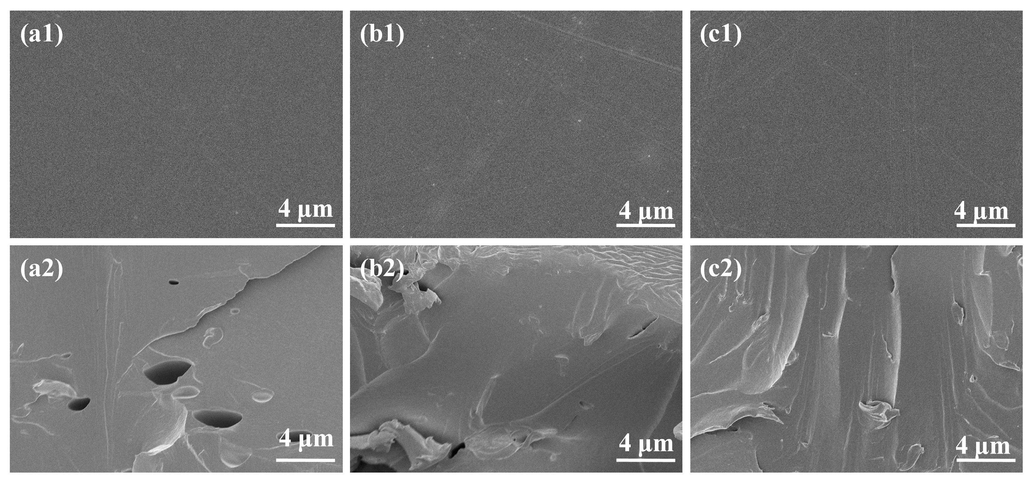 Coatings 13 01166 g009