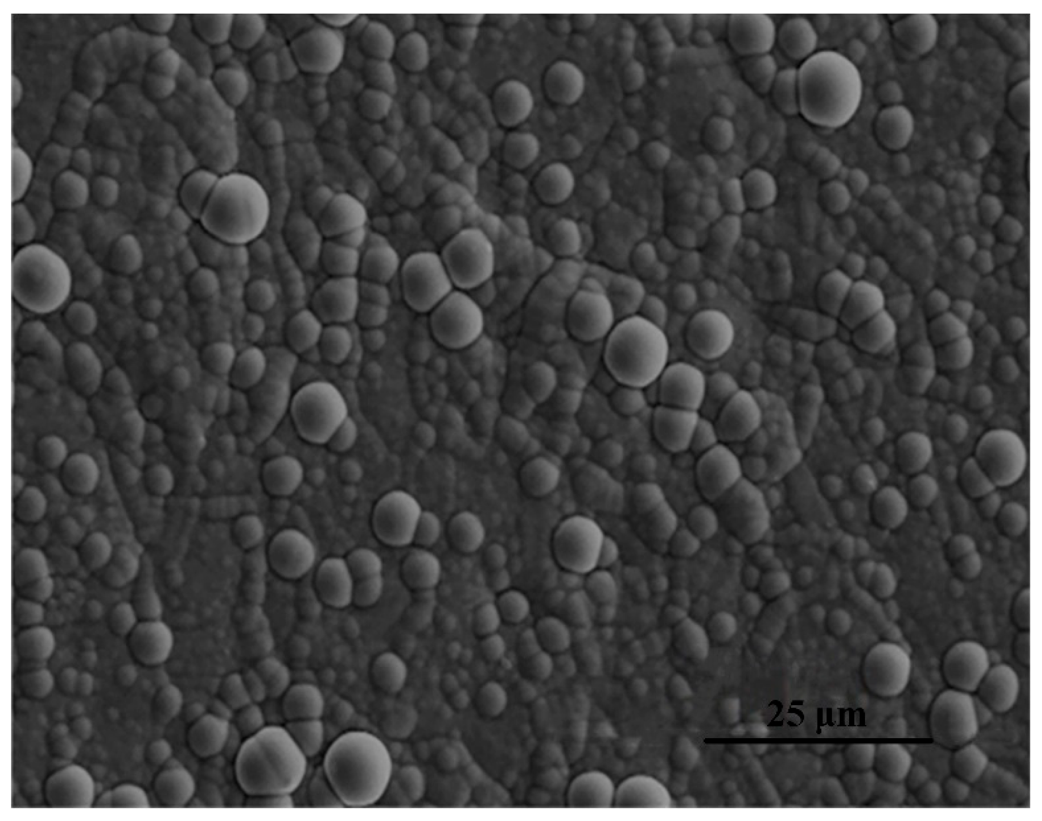 Coatings 13 01167 g002 Coatings 13 01167 g002