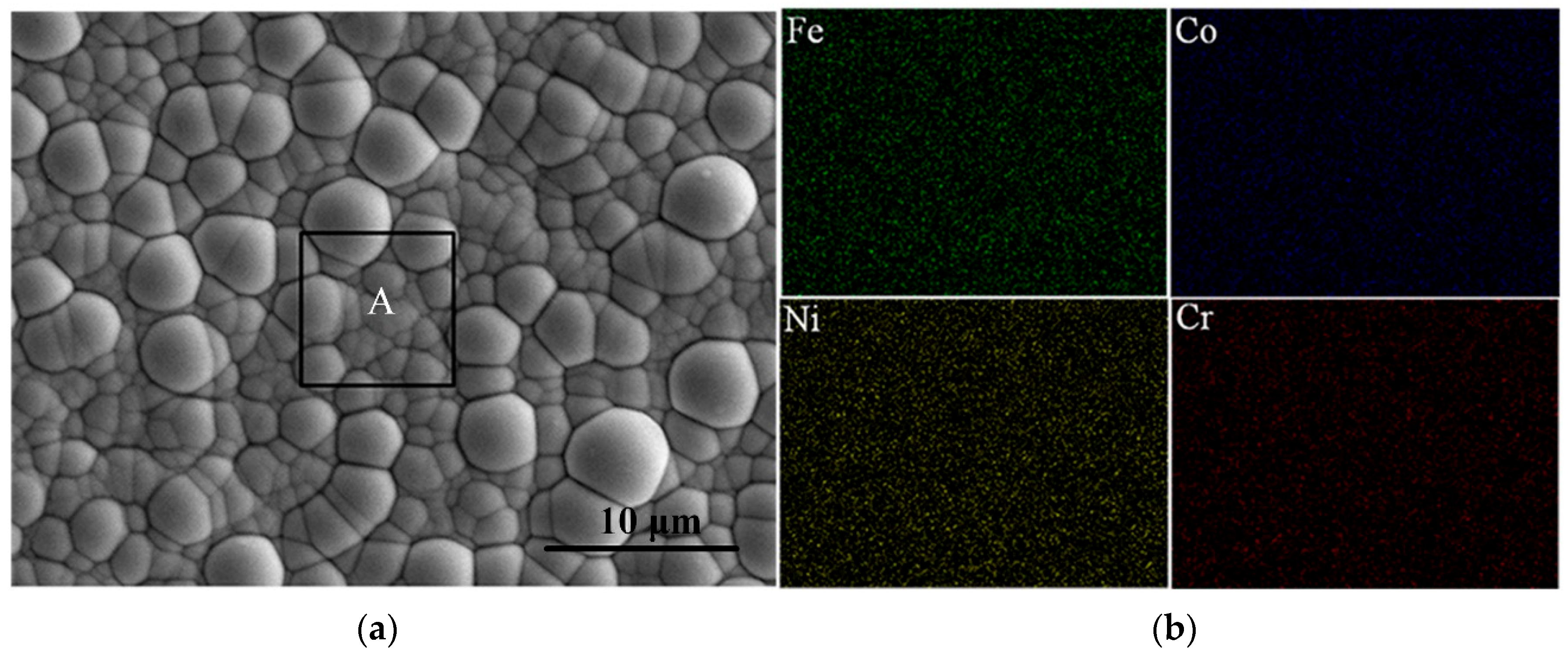 Coatings 13 01167 g003 Coatings 13 01167 g003
