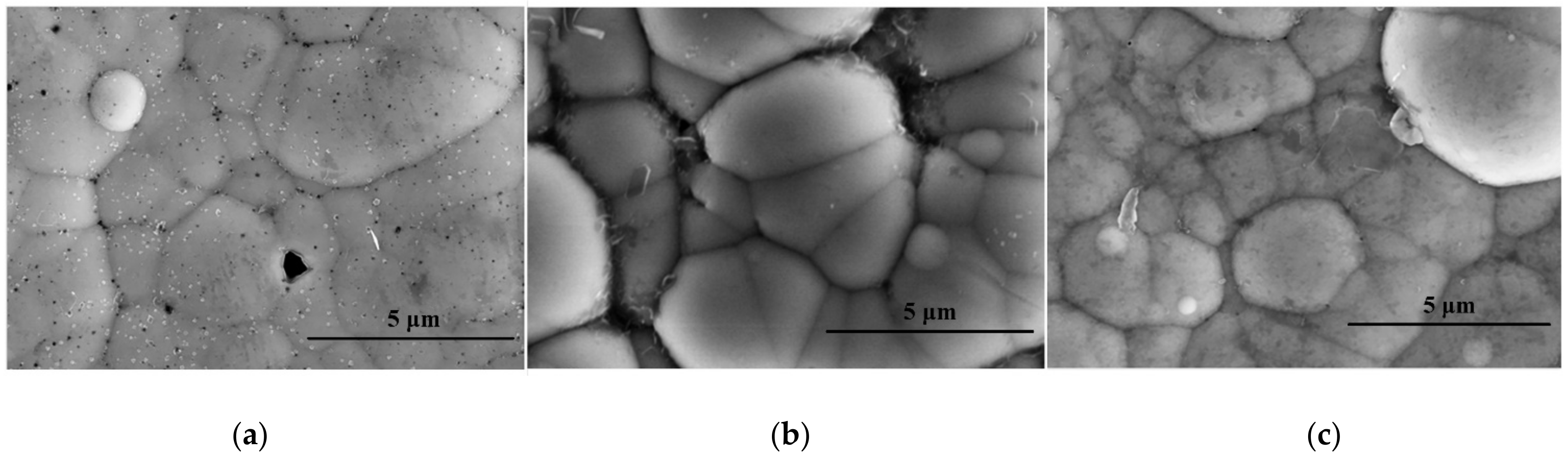 Coatings 13 01167 g005 Coatings 13 01167 g005