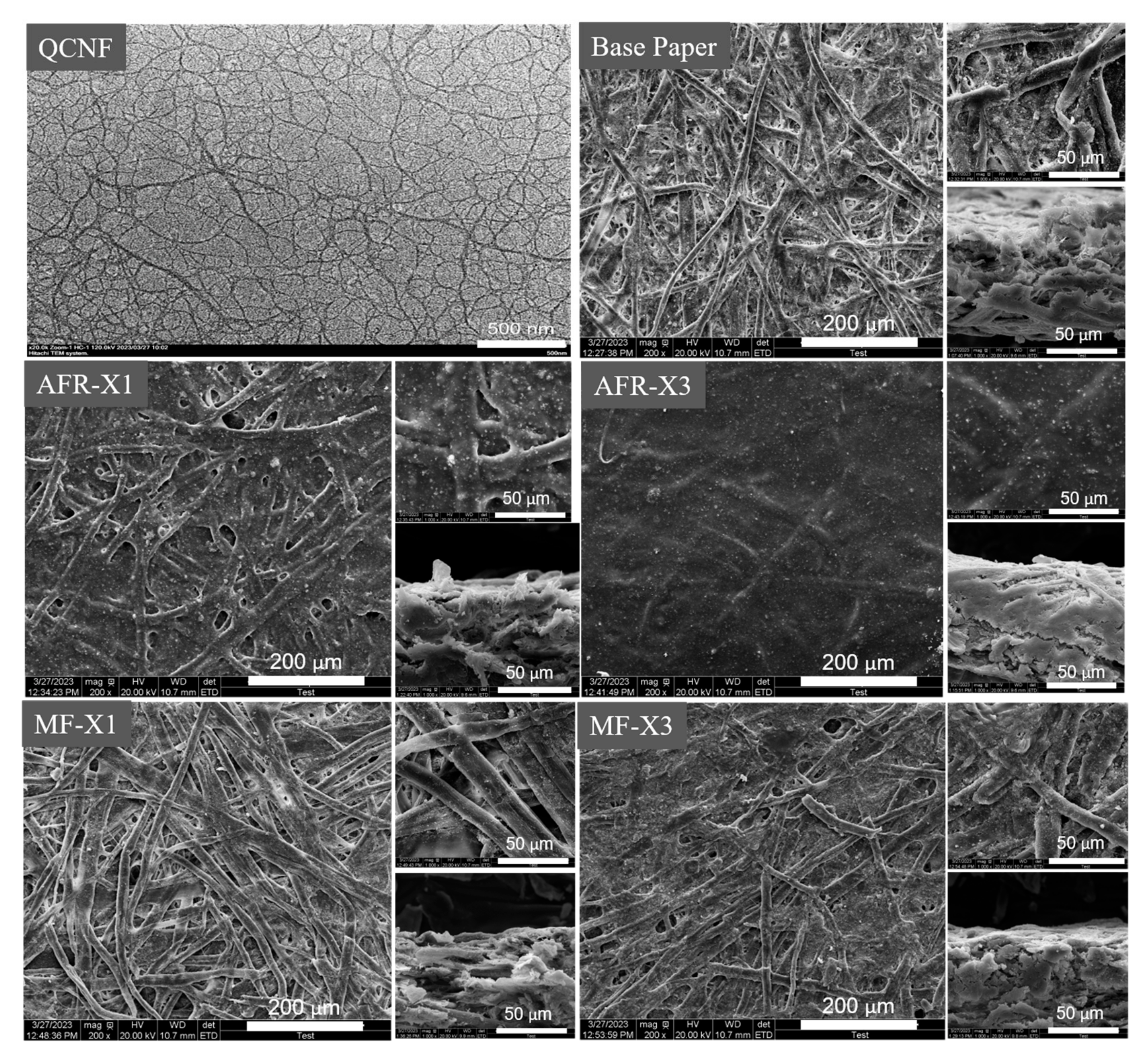 Coatings 13 01168 g006