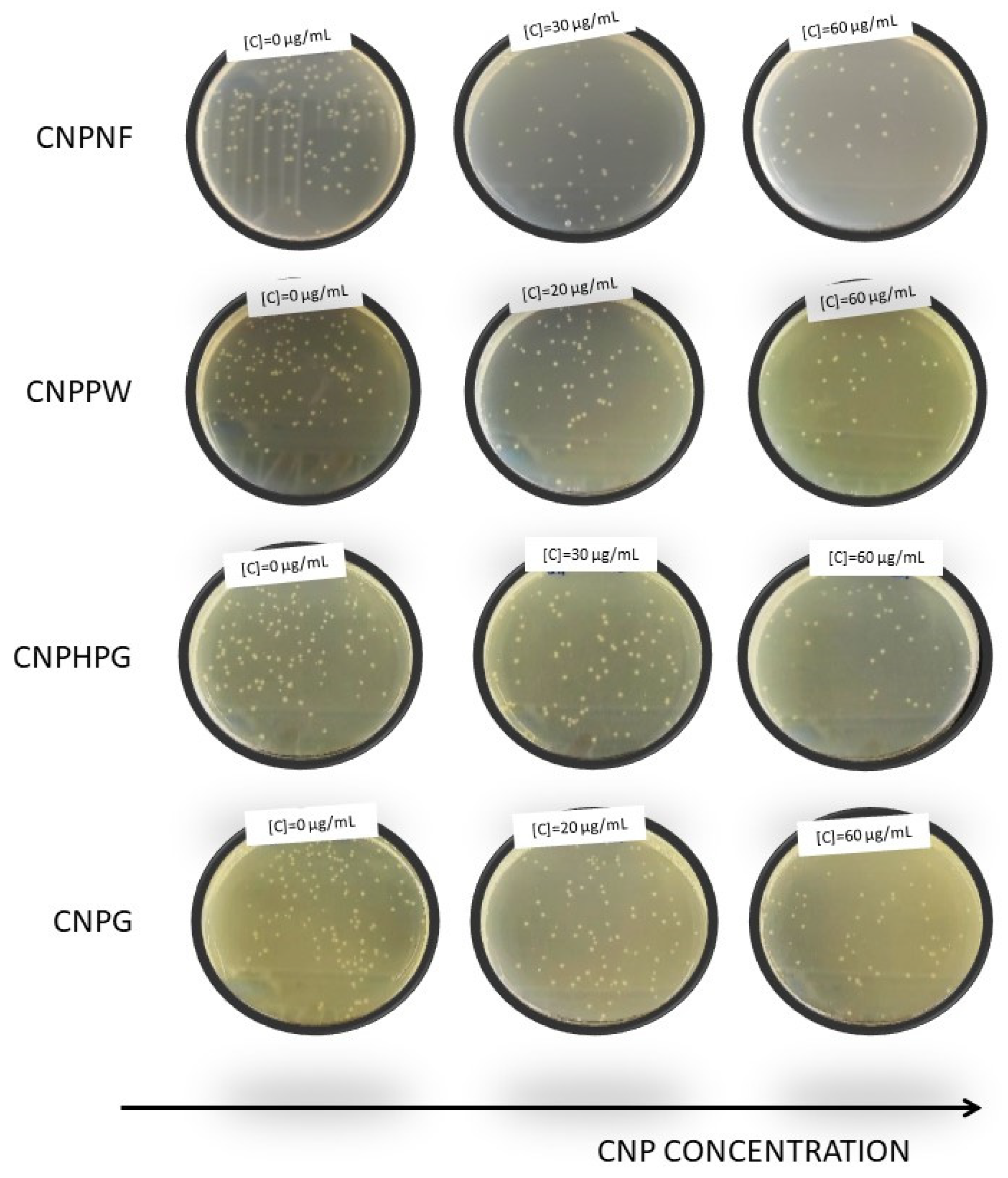 Coatings 13 01169 g002
