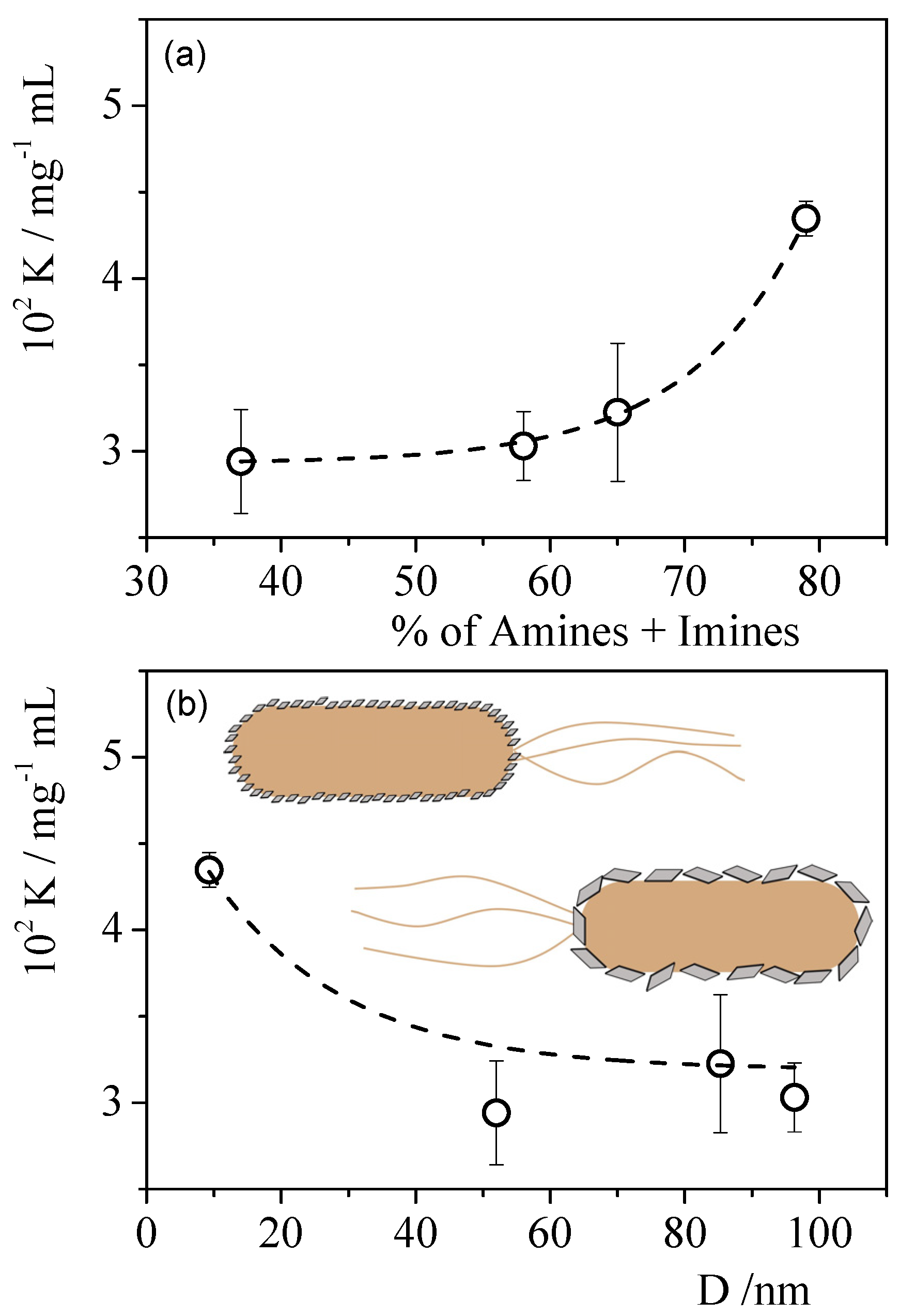 Coatings 13 01169 g005