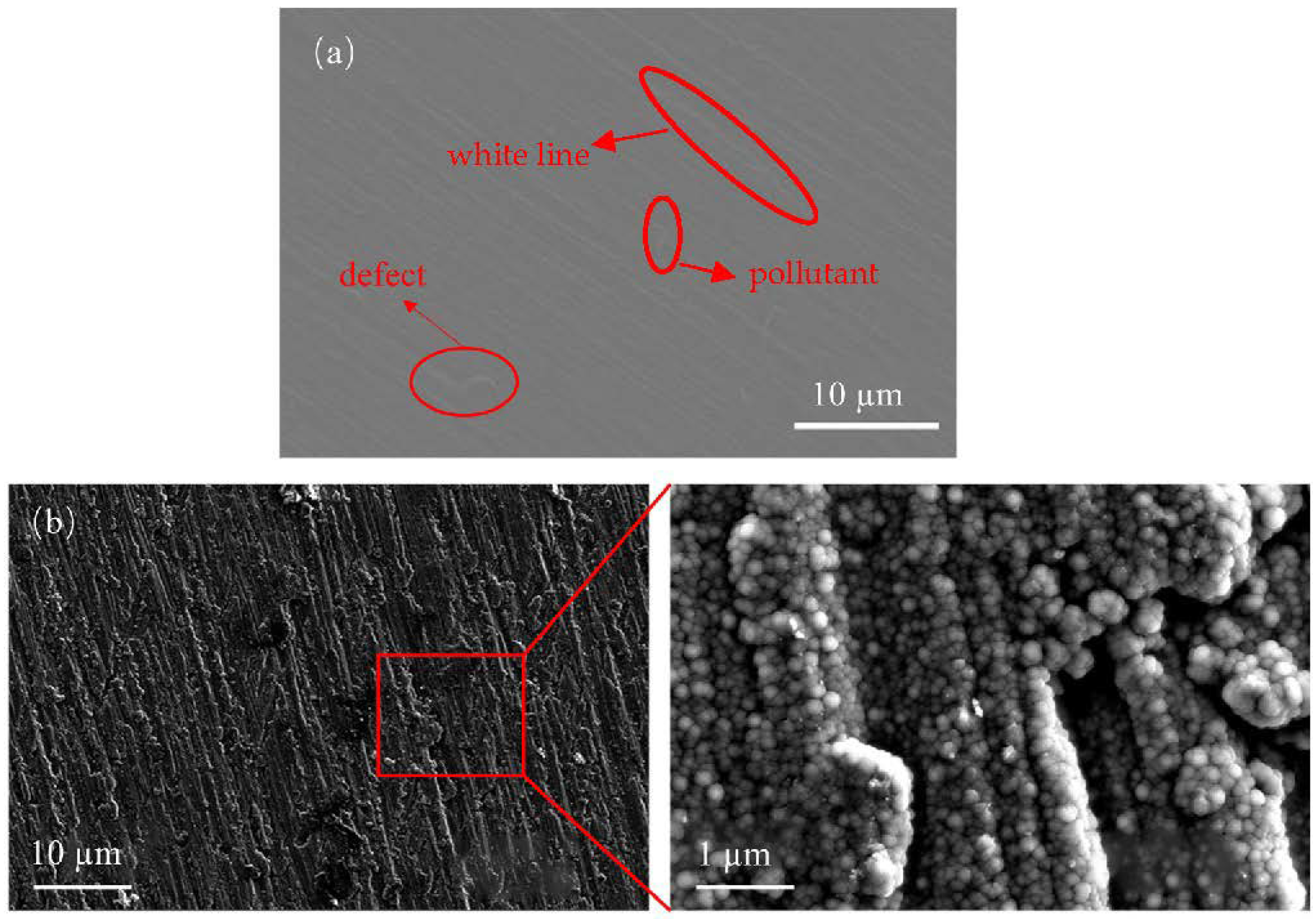 Coatings 13 01173 g001