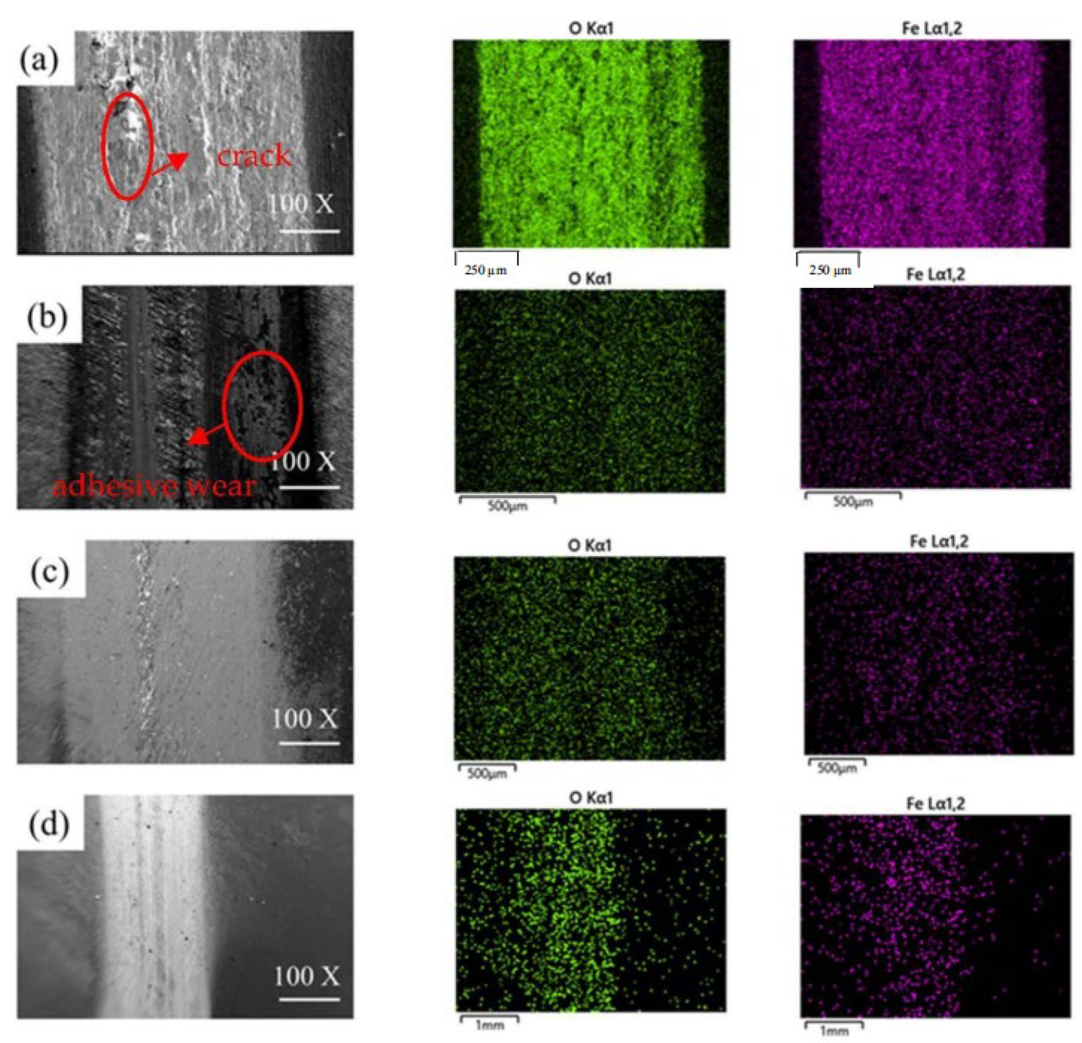 Coatings 13 01173 g009
