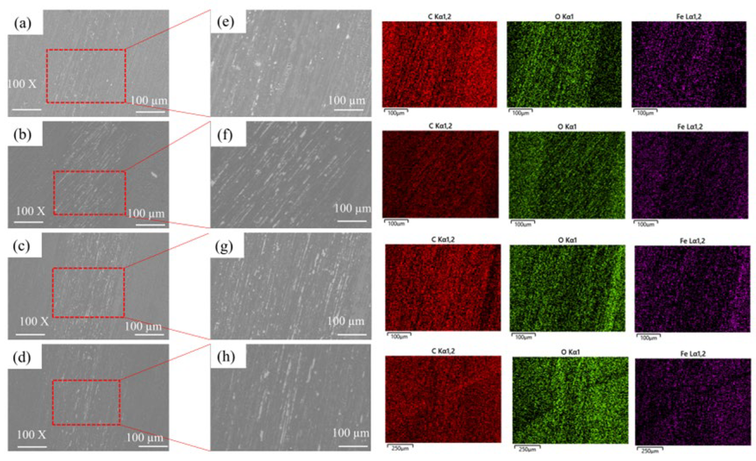 Coatings 13 01173 g012
