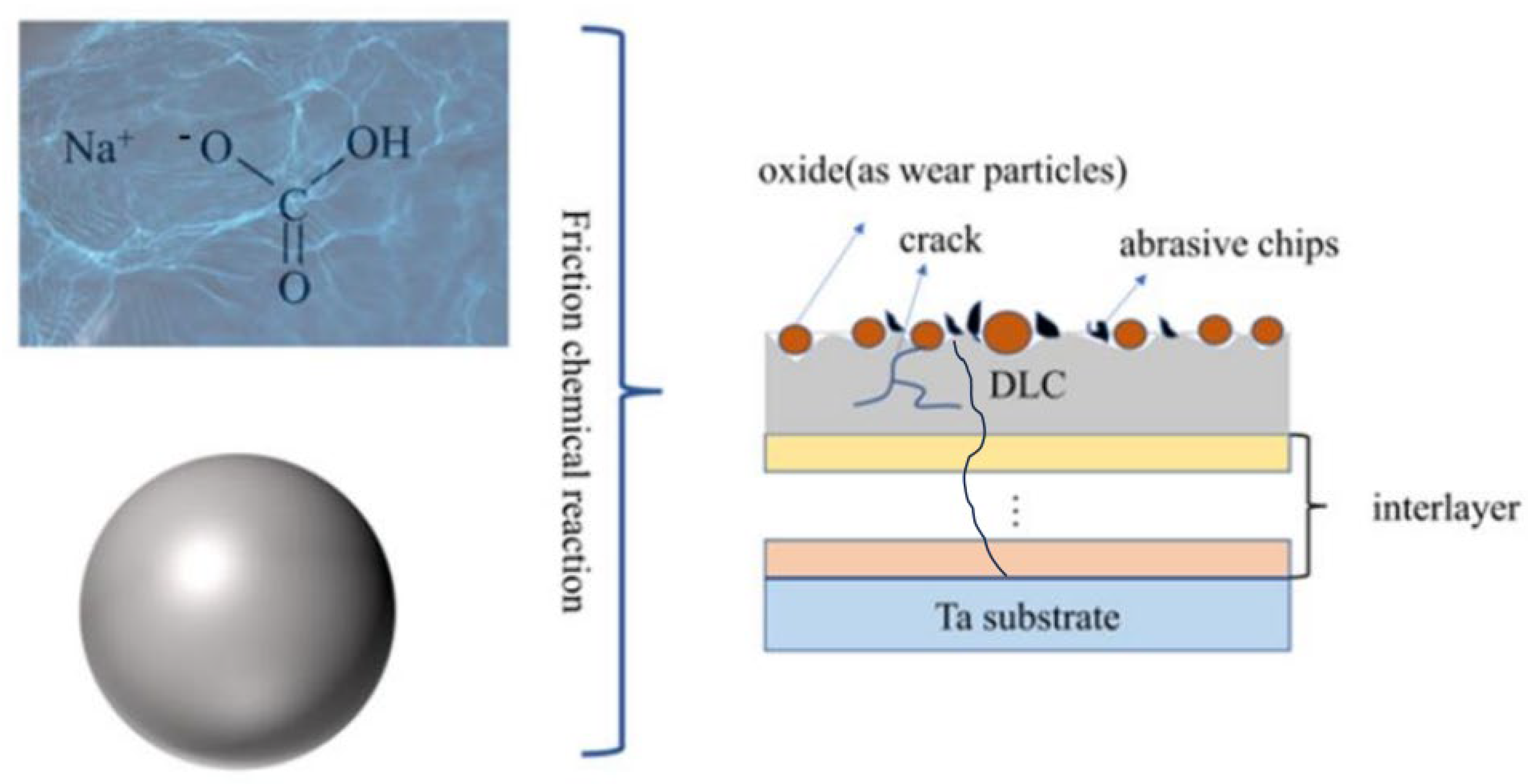 Coatings 13 01173 g013