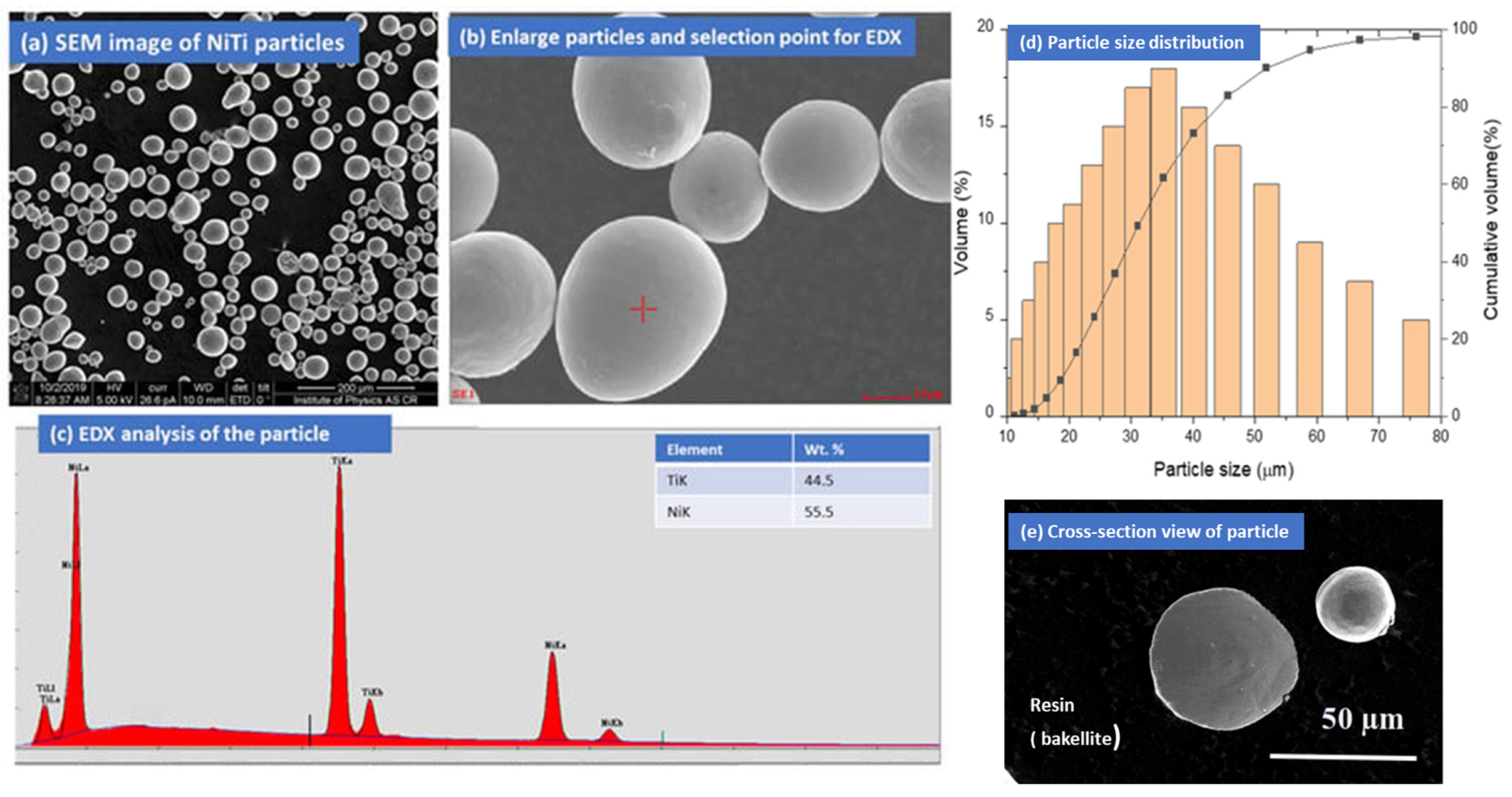 Coatings 13 01174 g001 550