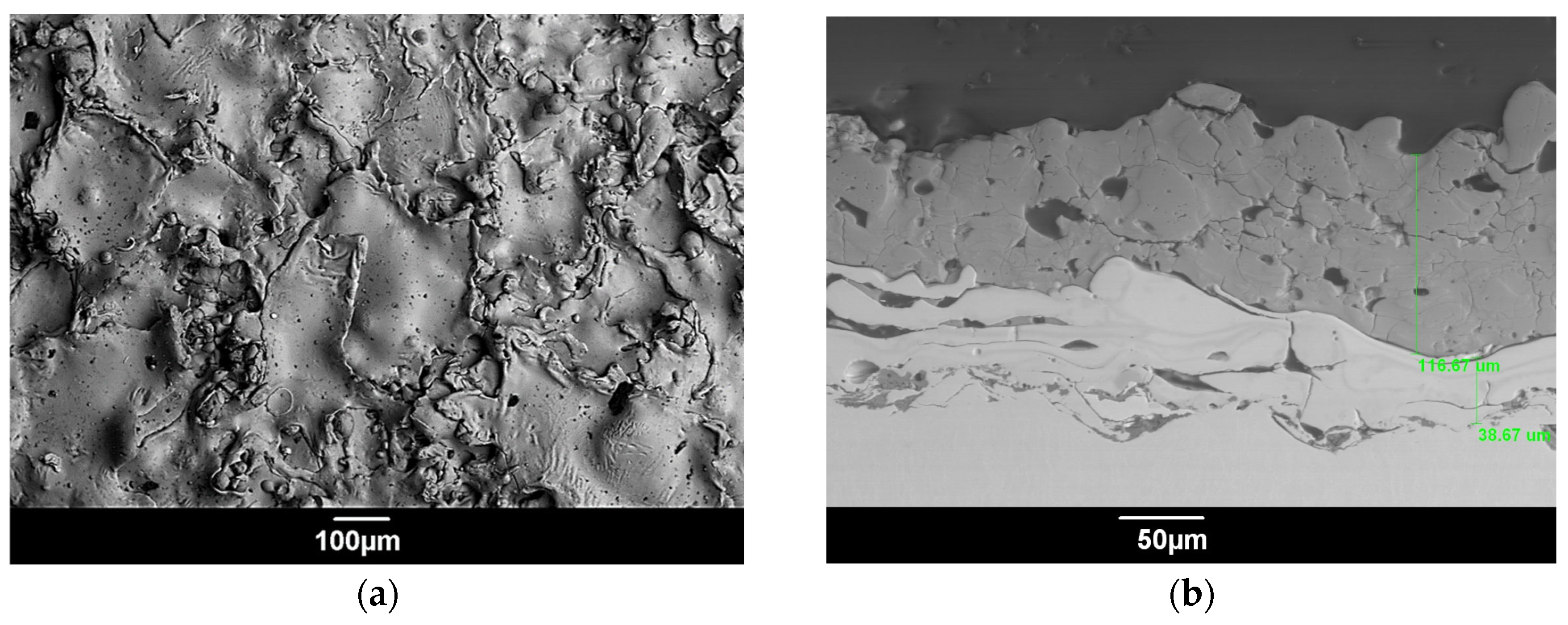 Coatings 13 01175 g002