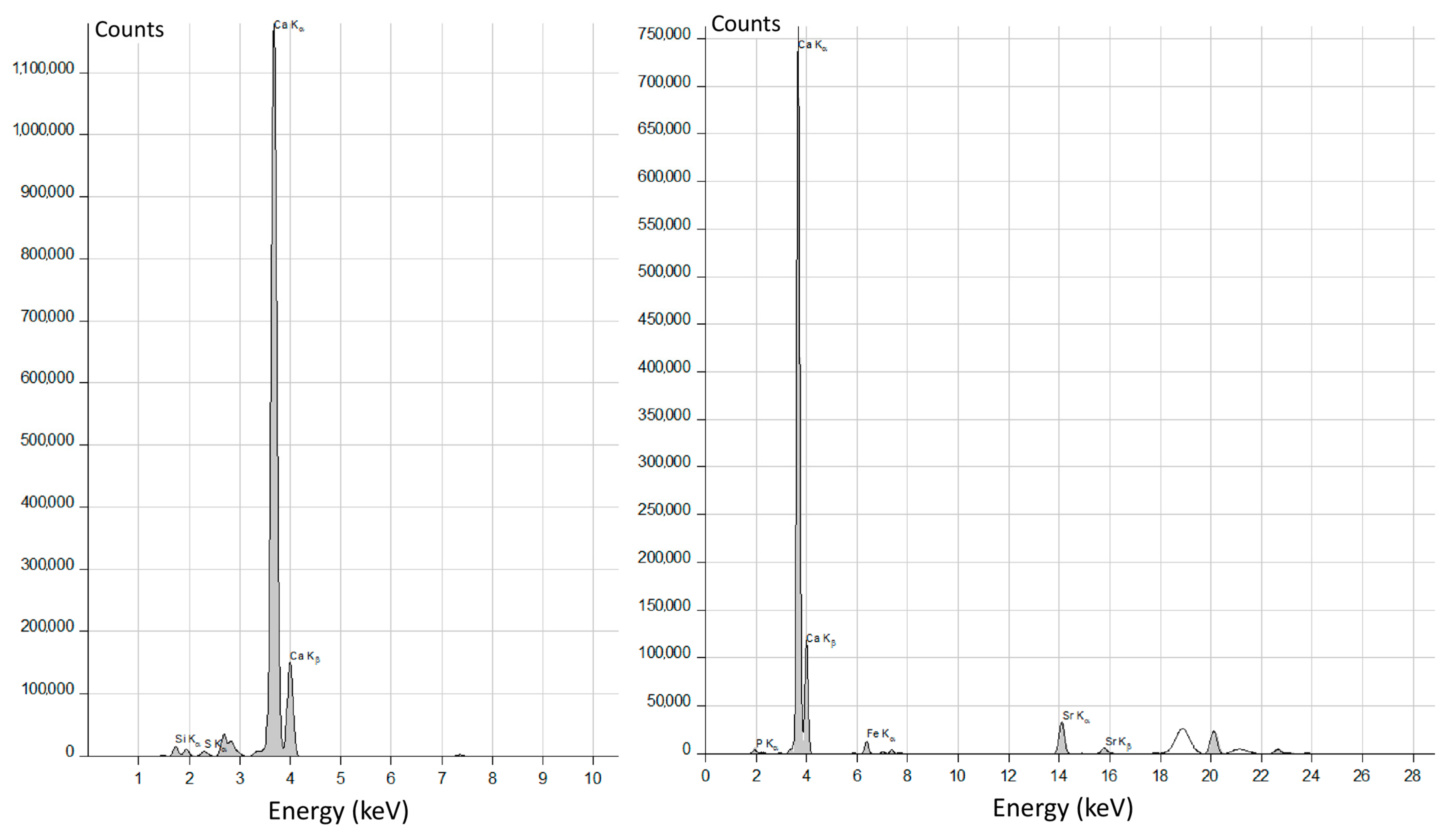Coatings 13 01183 g003