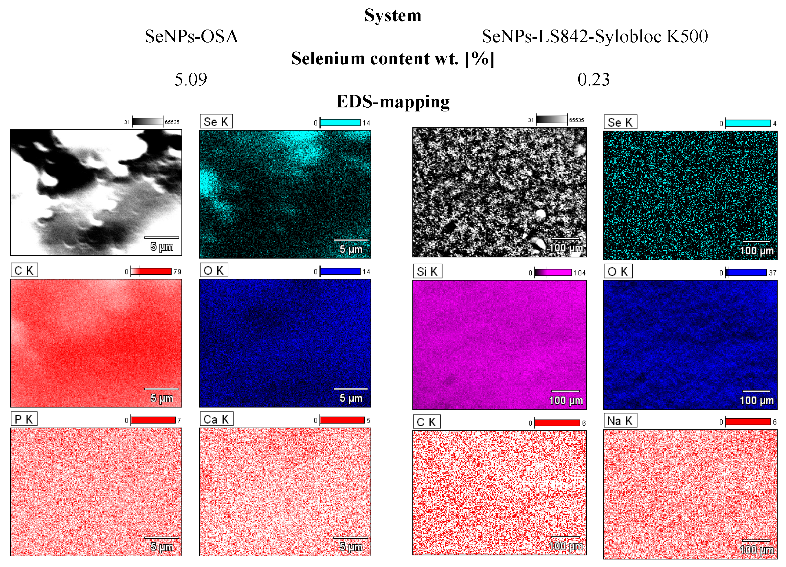 Coatings 13 01185 g001 Coatings 13 01185 g001