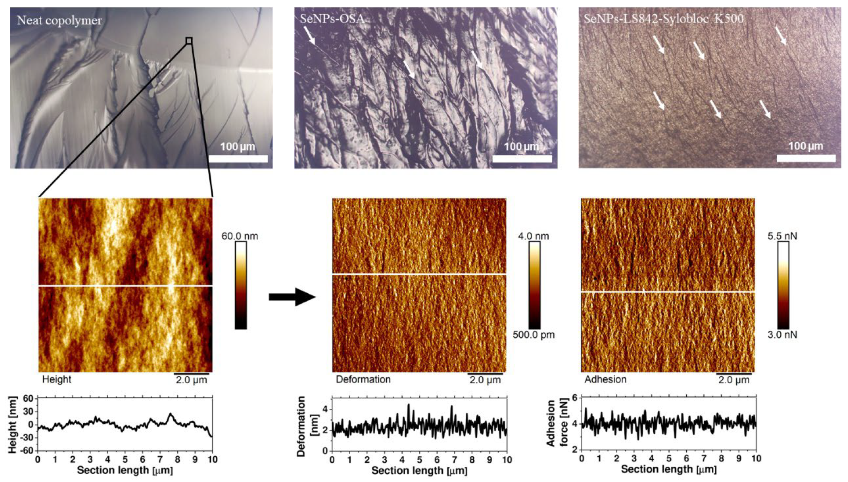 Coatings 13 01185 g007 Coatings 13 01185 g007
