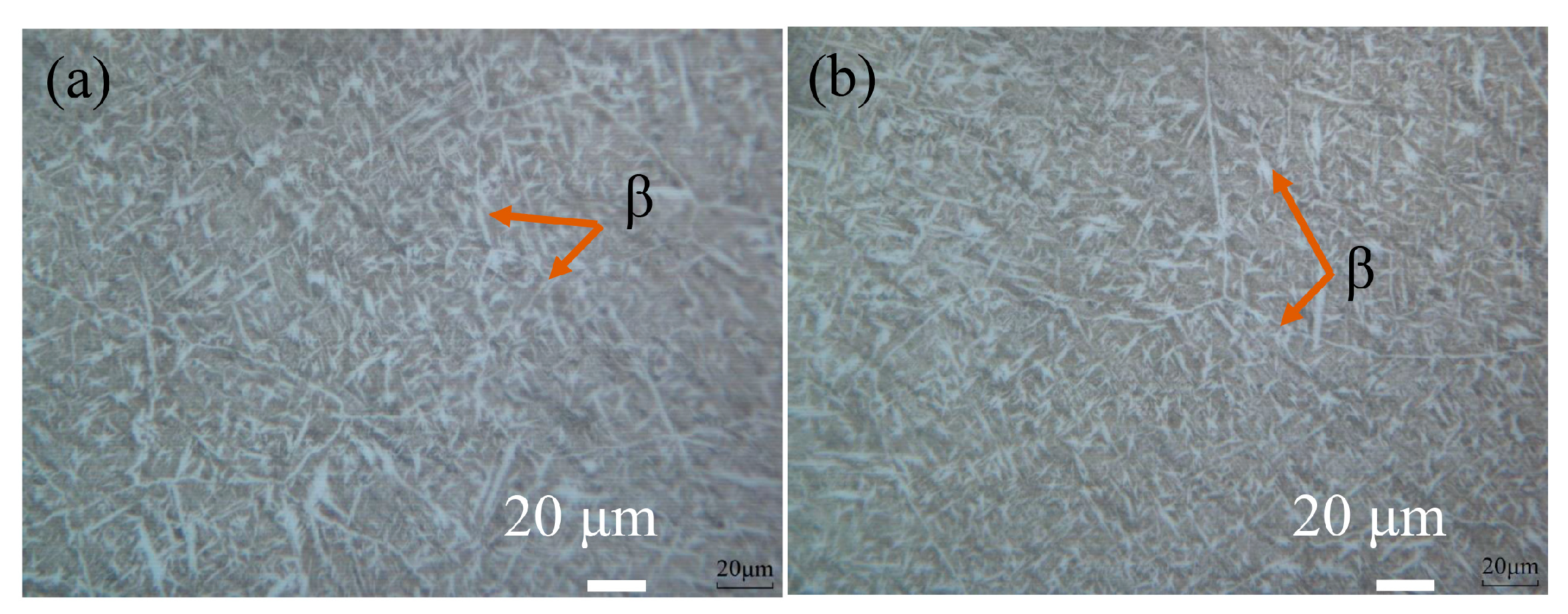 Coatings 13 01186 g005 Coatings 13 01186 g005