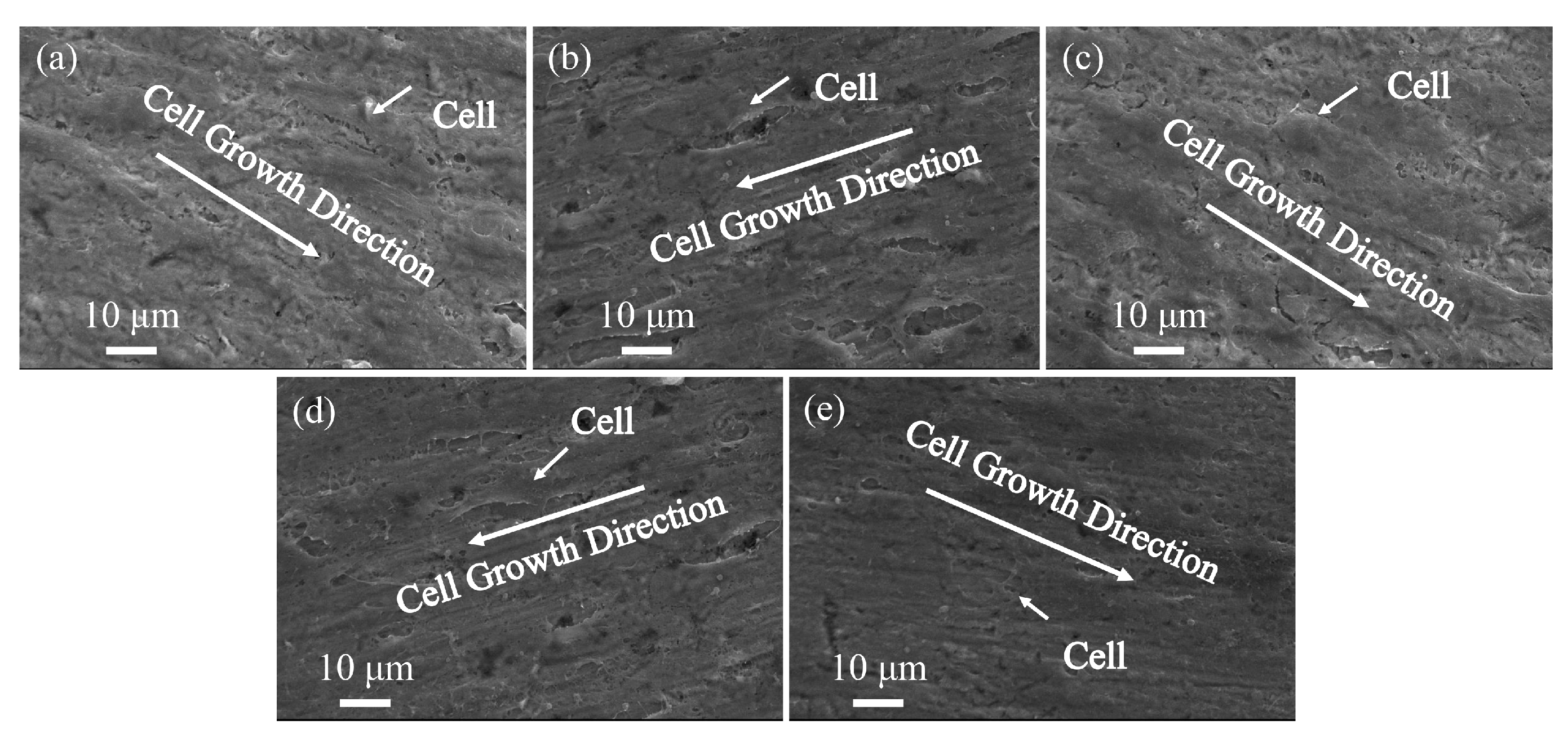 Coatings 13 01186 g014 Coatings 13 01186 g014