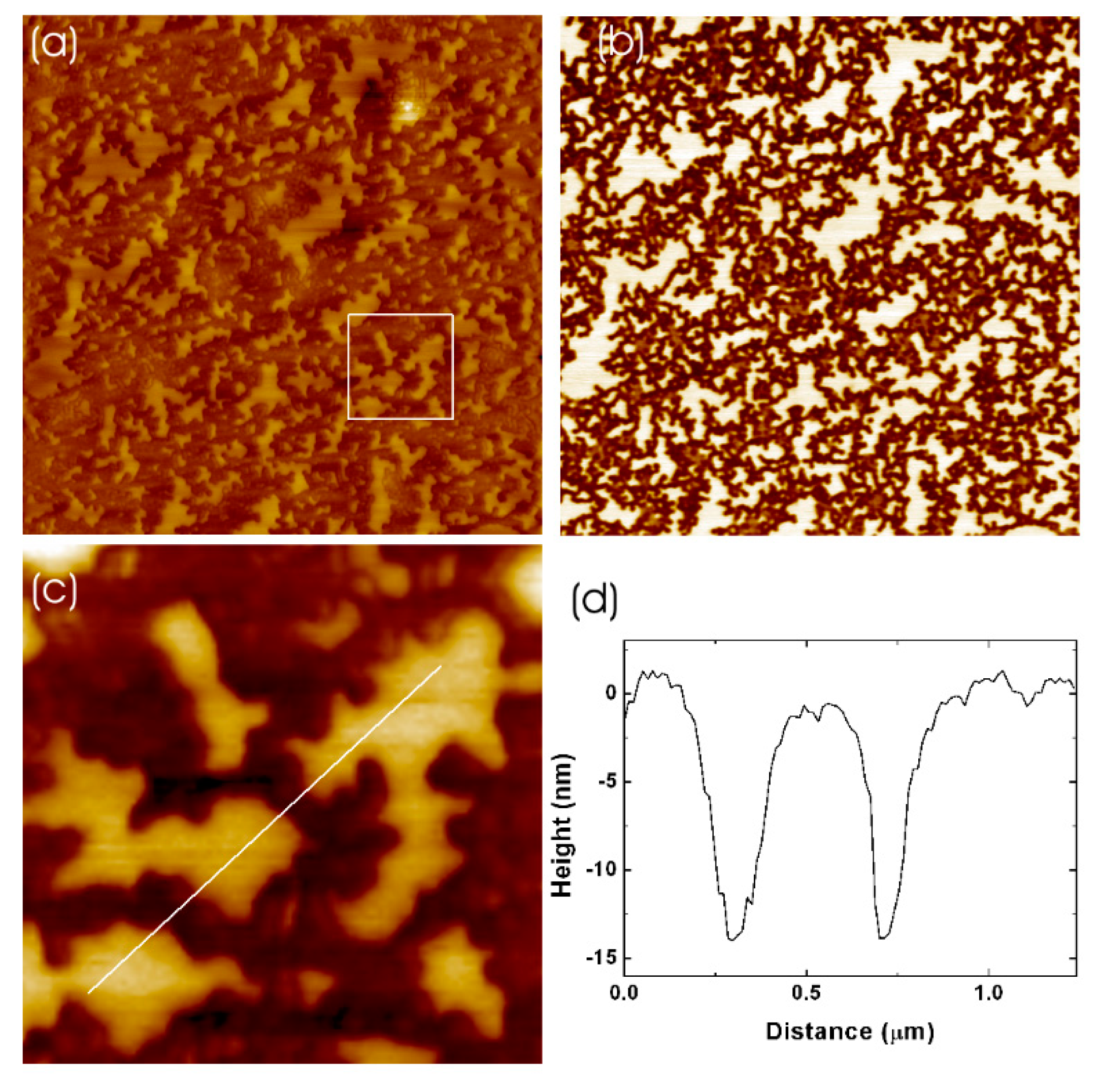 Coatings 13 01187 g001 Coatings 13 01187 g001