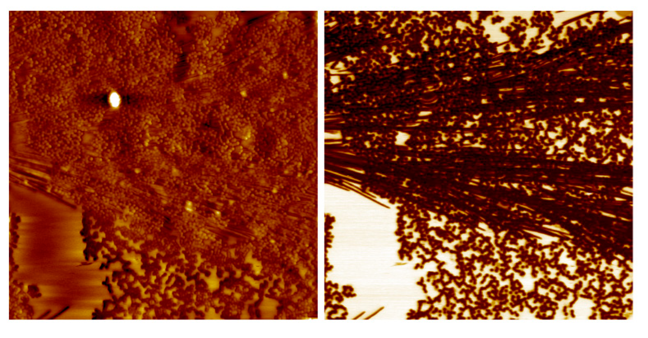 Coatings 13 01187 g002 Coatings 13 01187 g002