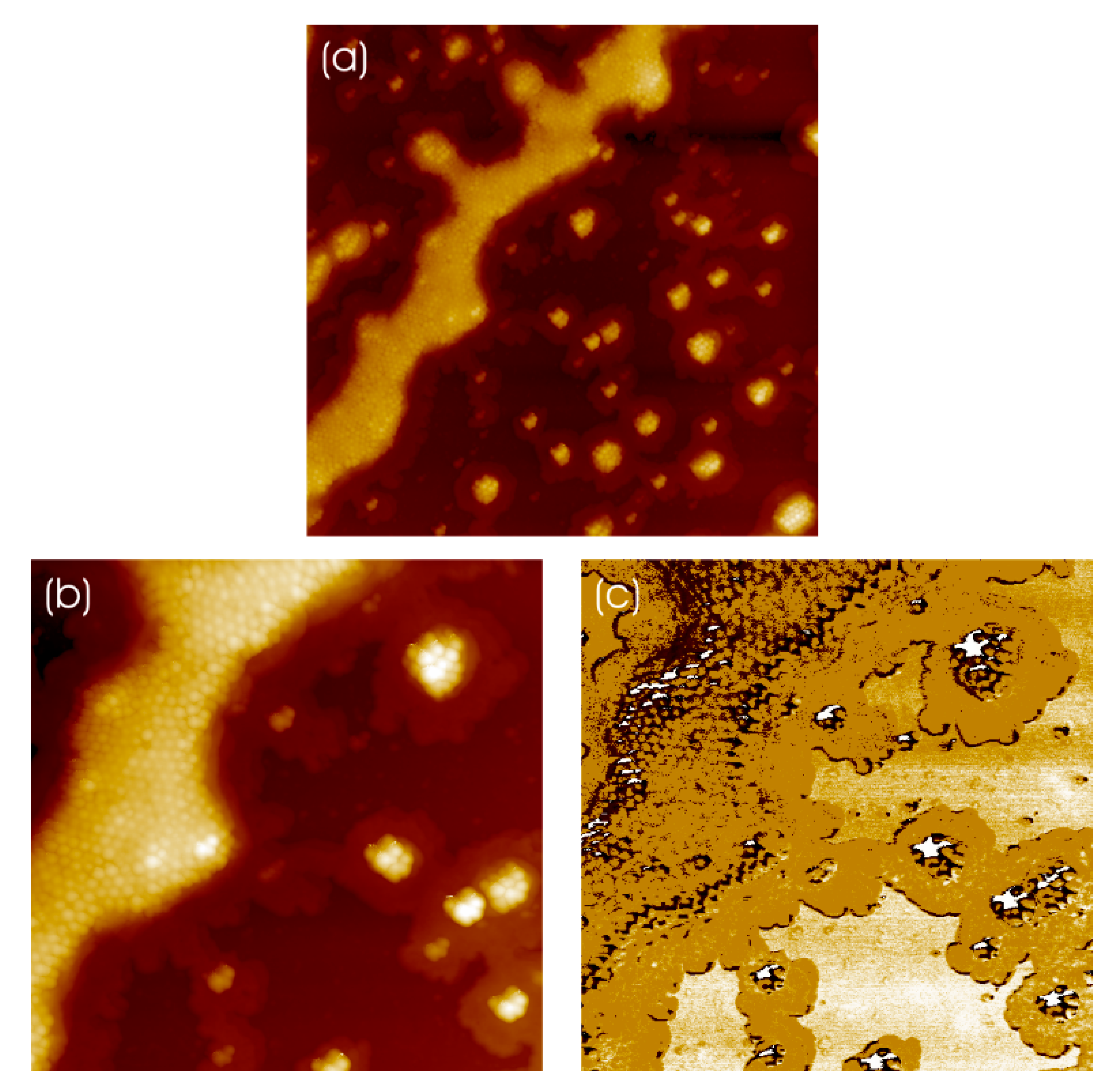 Coatings 13 01187 g005 Coatings 13 01187 g005