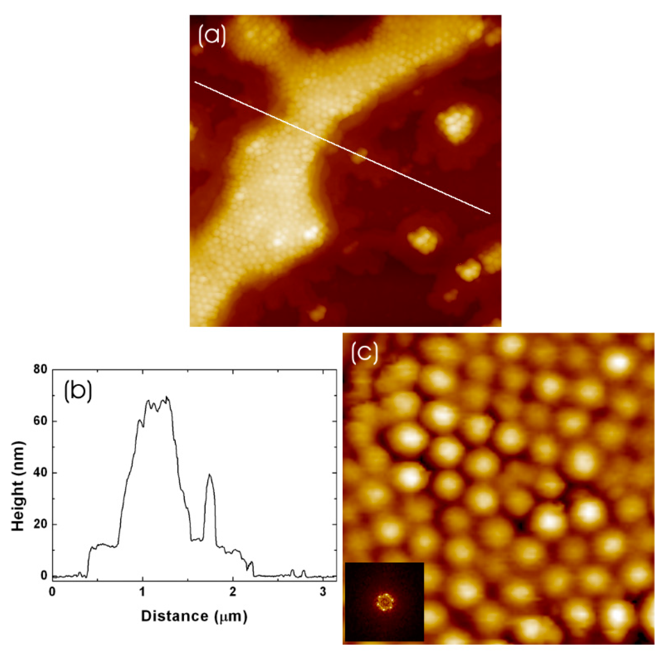 Coatings 13 01187 g006 Coatings 13 01187 g006